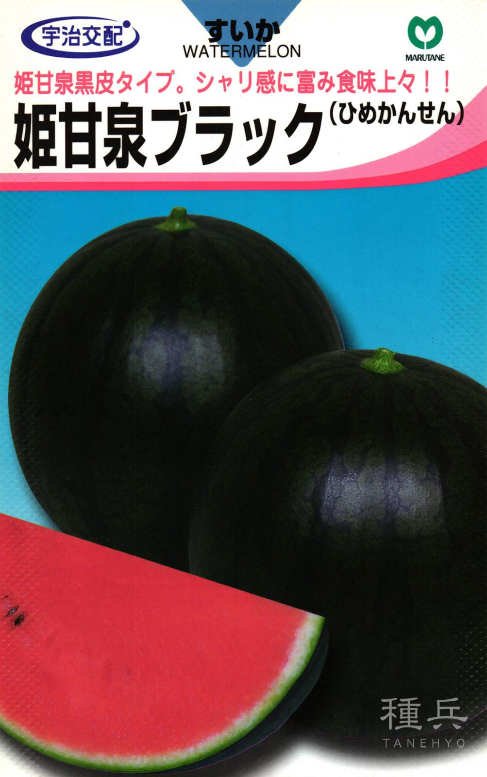 黒皮小玉スイカ 種 『姫甘泉ブラック』  丸種