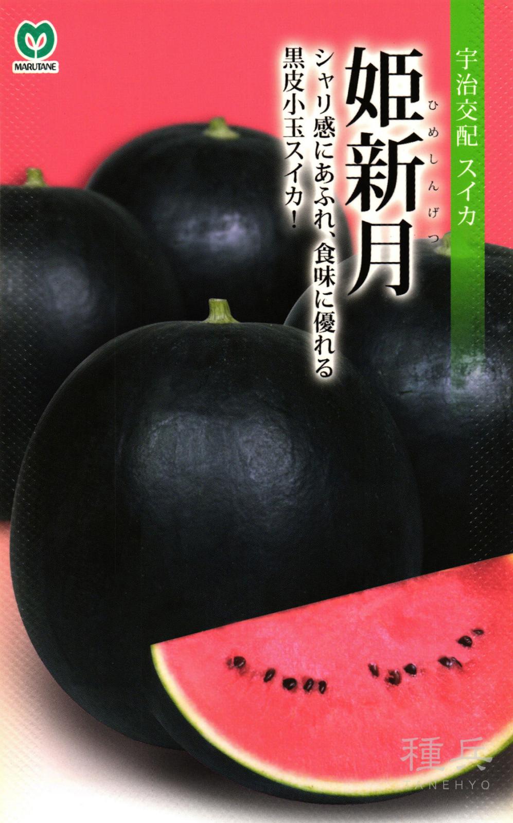 黒皮小玉スイカ 種 『姫新月』  丸種