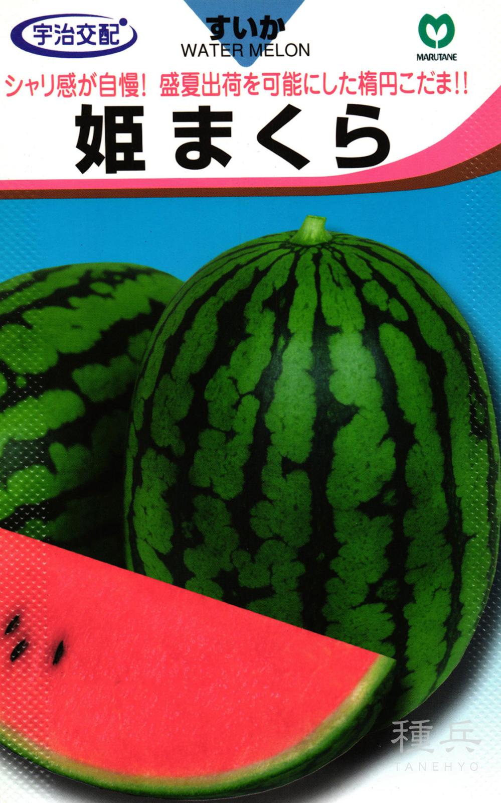楕円小玉スイカ 種 『姫まくら』  丸種