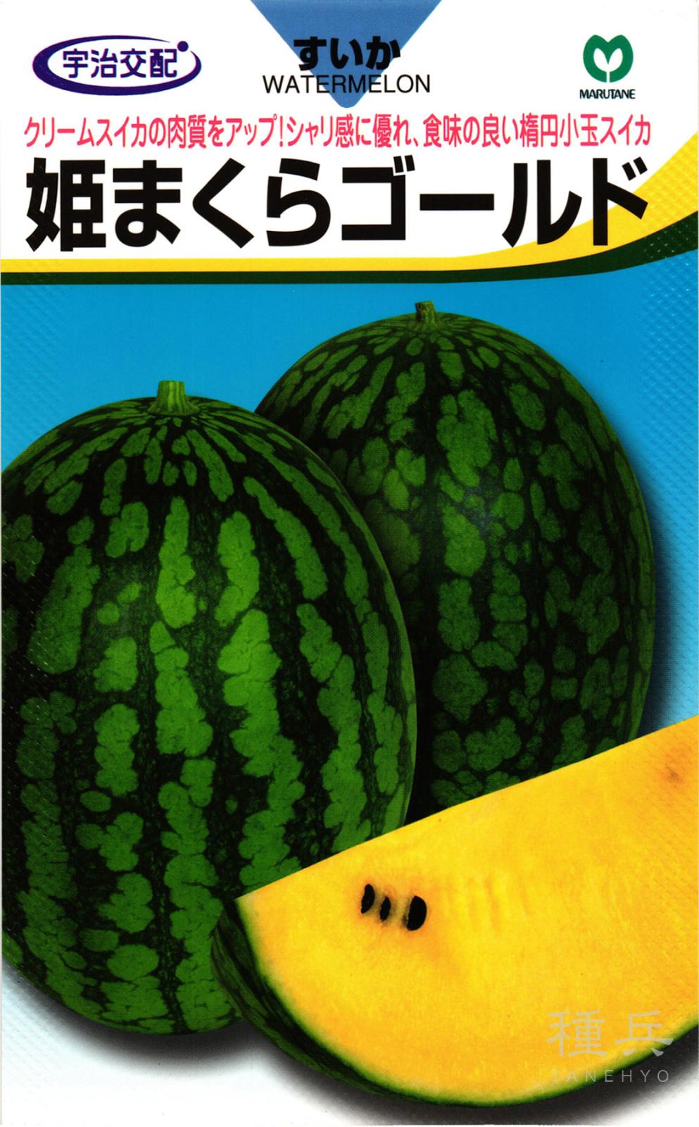 黄肉楕円小玉スイカ 種 『姫まくらゴールド』  丸種