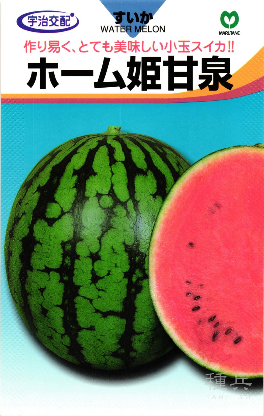 小玉スイカ 種 『ホーム姫甘泉』  丸種