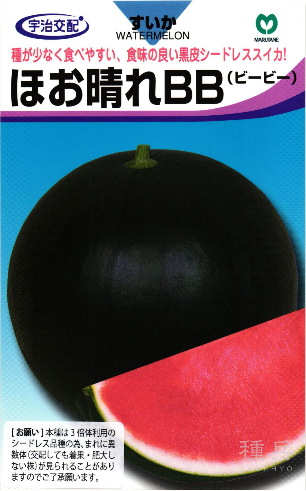 種なしスイカ 種 『ほお晴れBB』  丸種