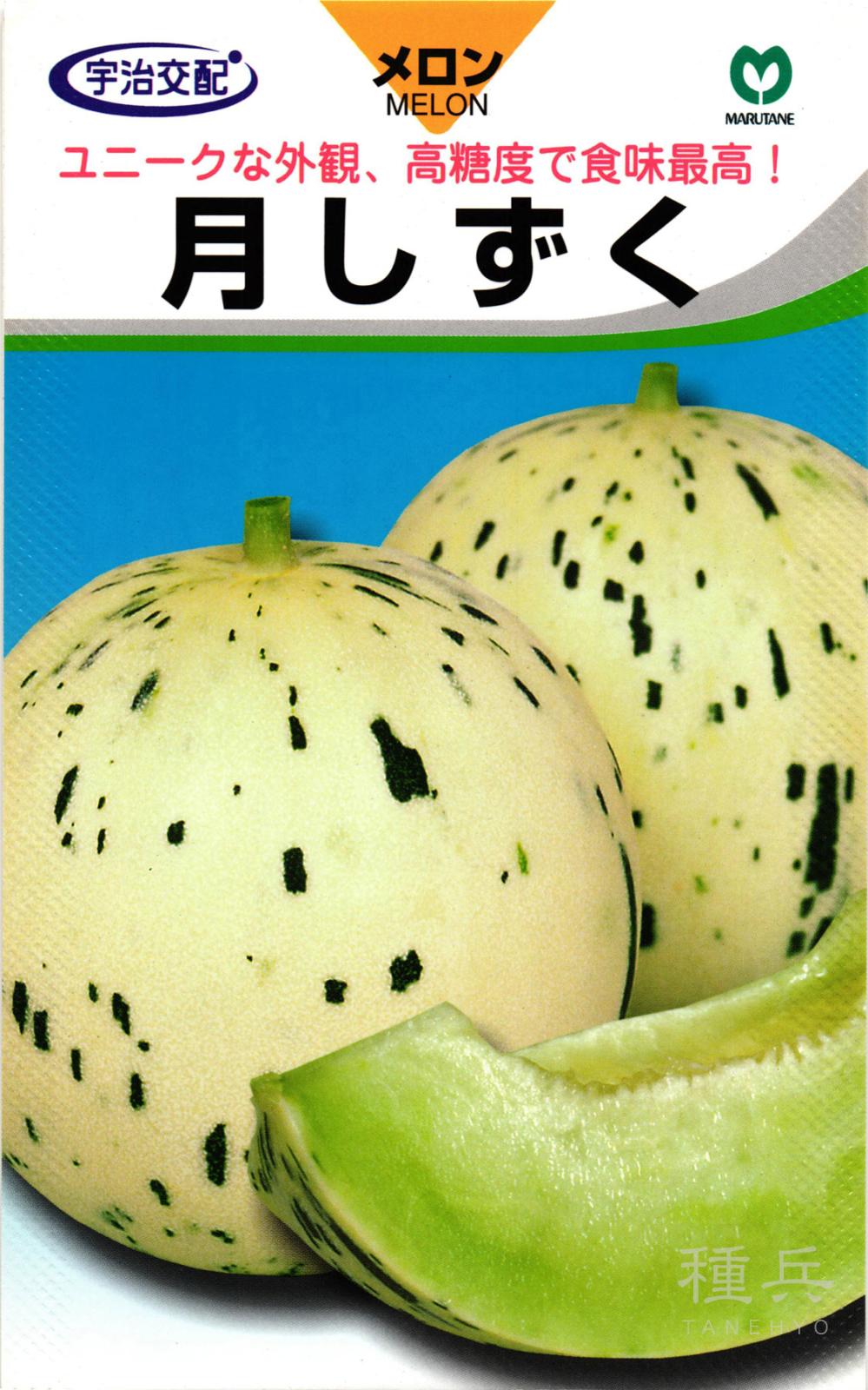 ノーネットメロン 種 『月しずく』  丸種