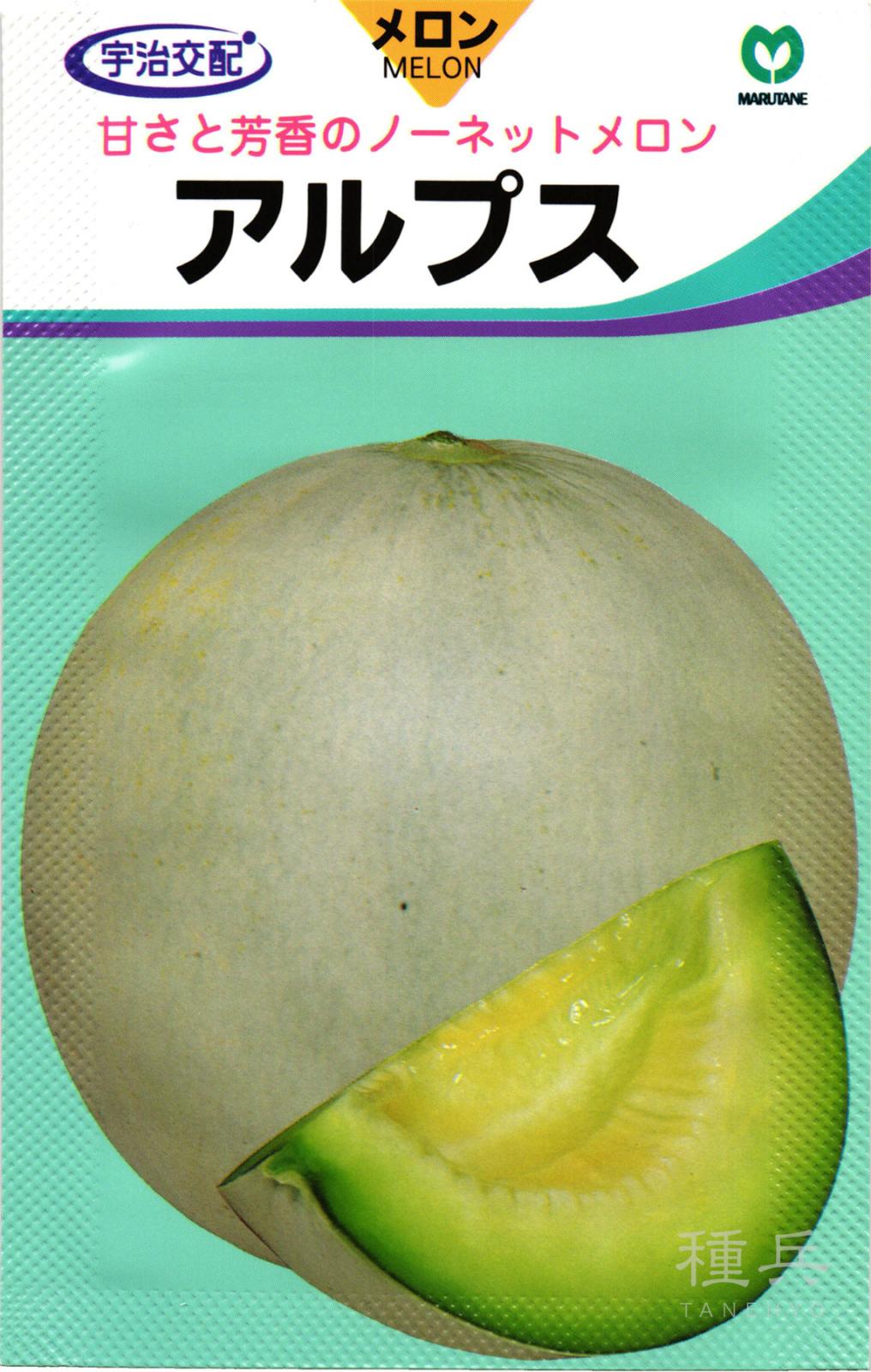 白皮ノーネットメロン 種 『アルプス』  丸種