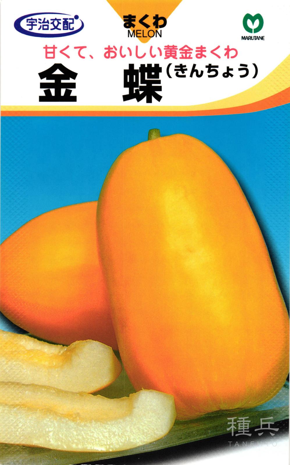 マクワウリ 種 『金蝶甜瓜』  丸種