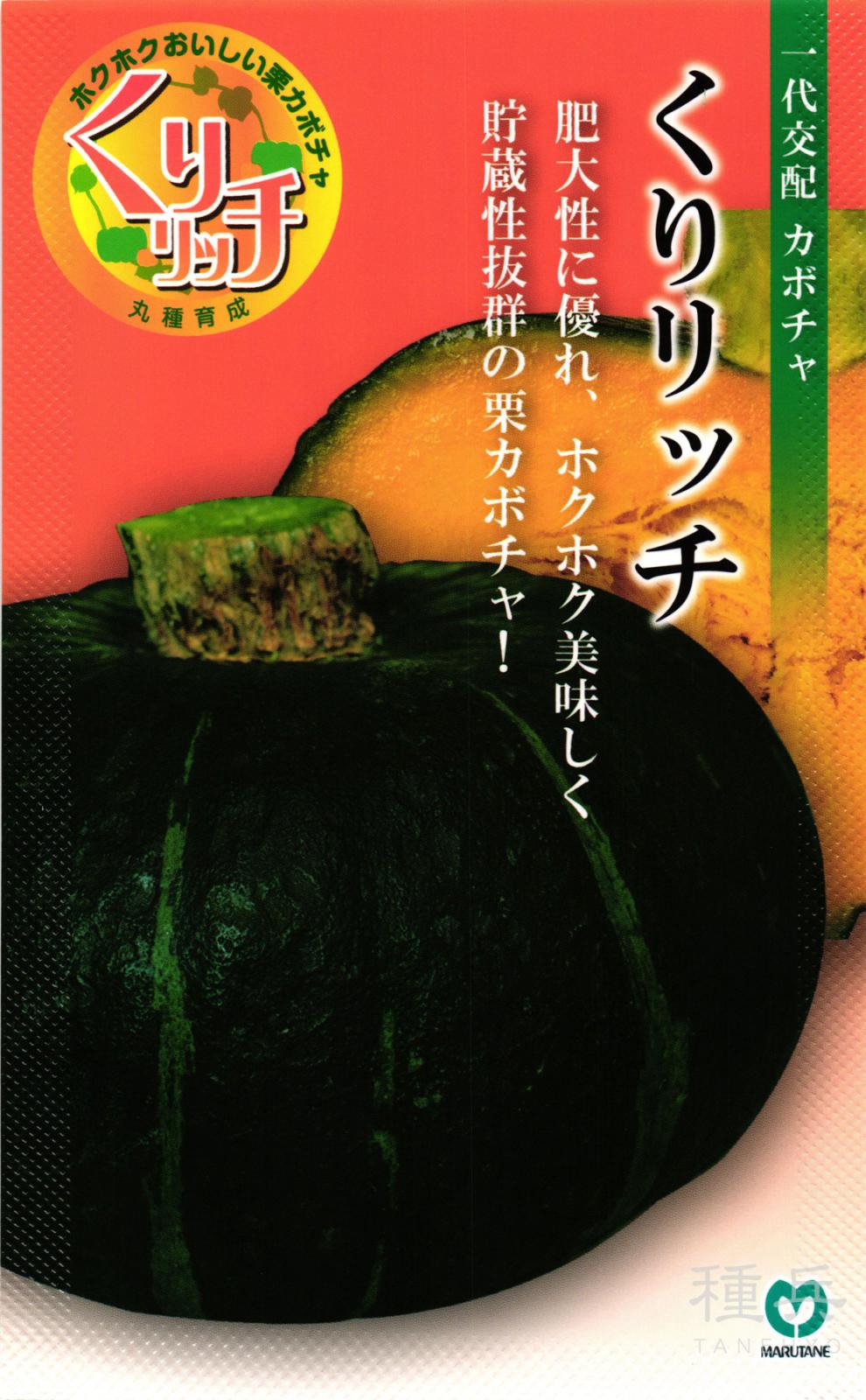 栗カボチャ 種 『くりリッチ』  丸種