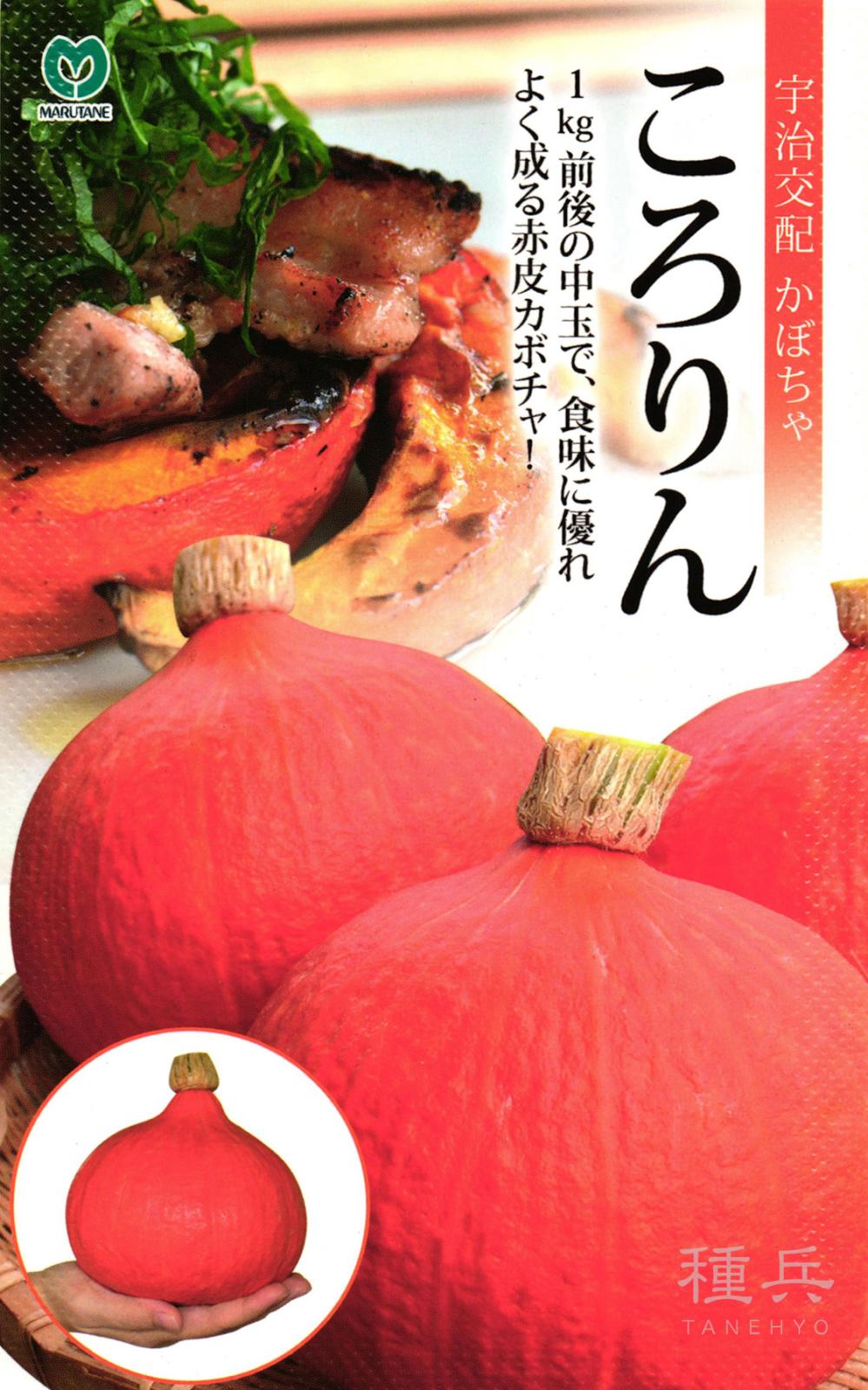 赤皮栗カボチャ 種 『ころりん』  丸種