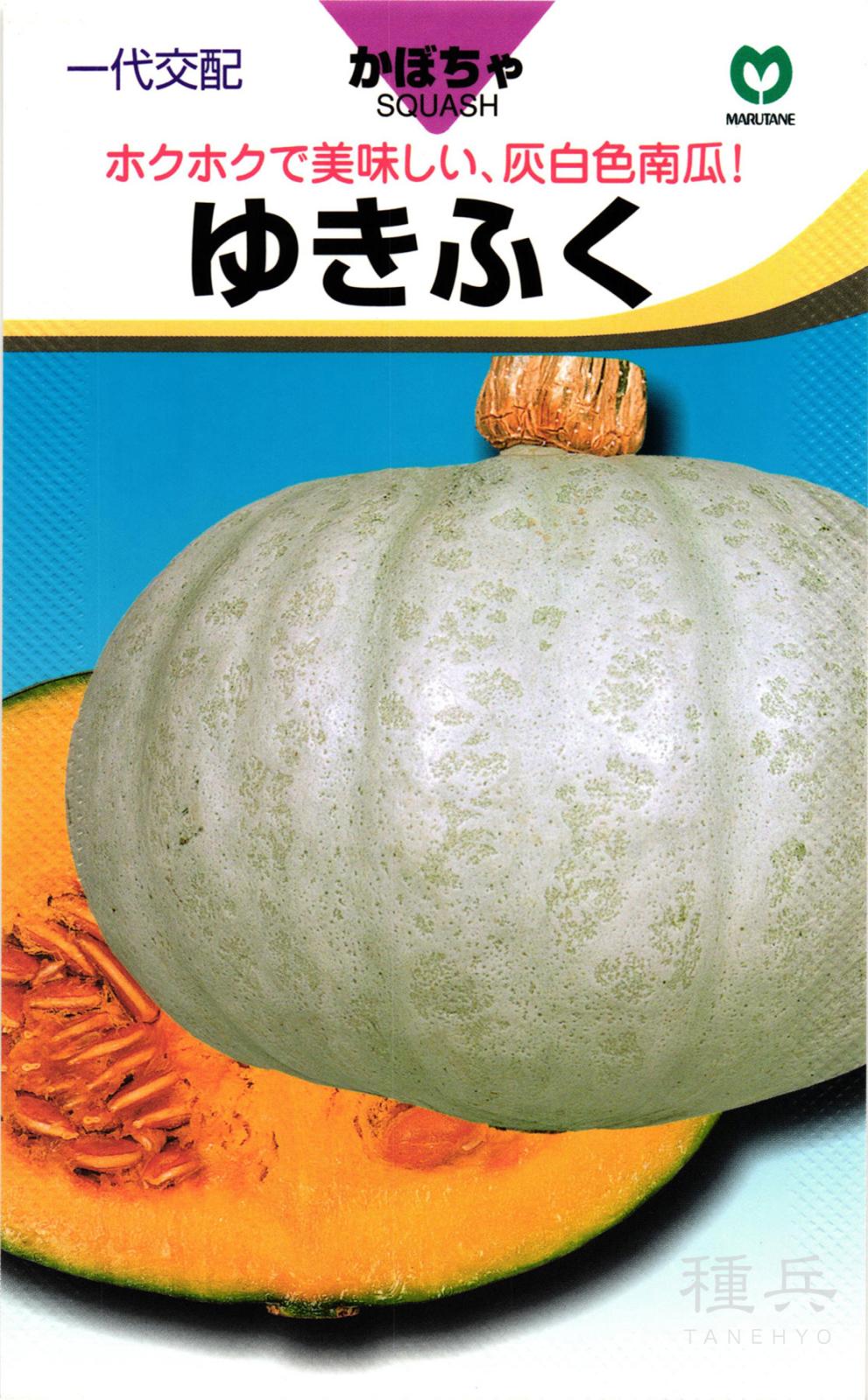 白皮栗カボチャ 種 『ゆきふく』  丸種