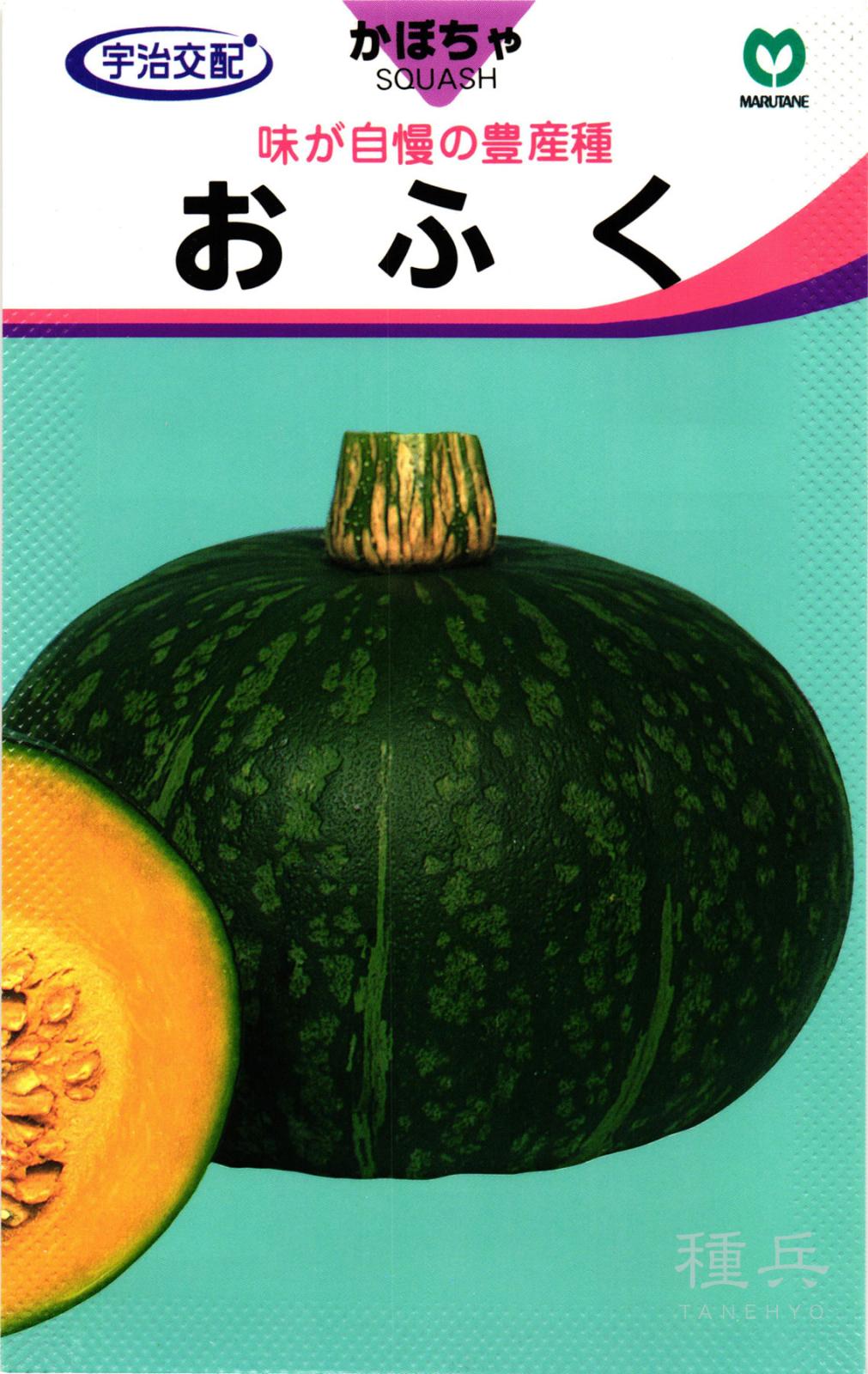 栗カボチャ 種 『おふく』  丸種