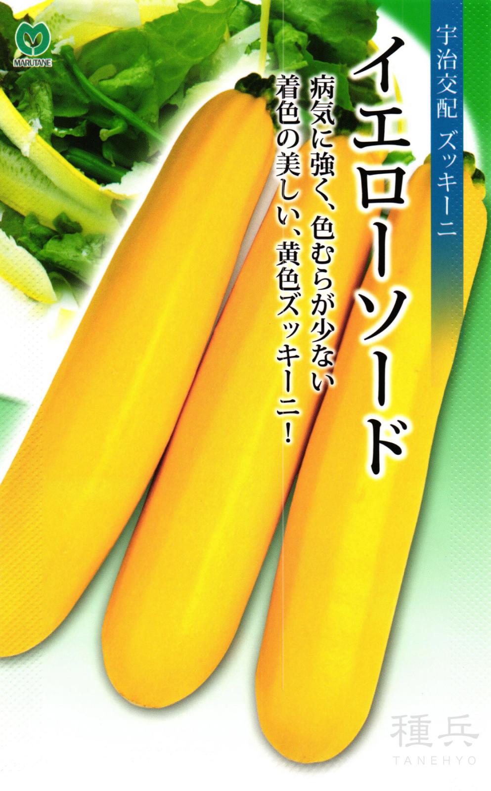 黄ズッキーニ 種 『イエローソード』  丸種