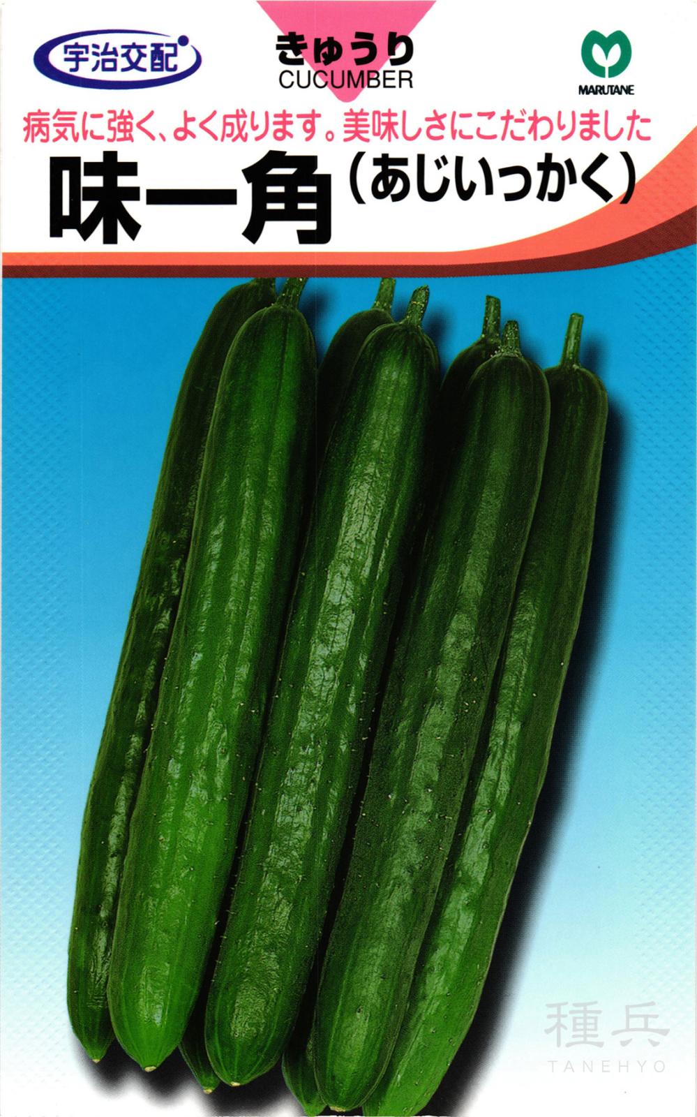 キュウリ 種 『味一角』  丸種