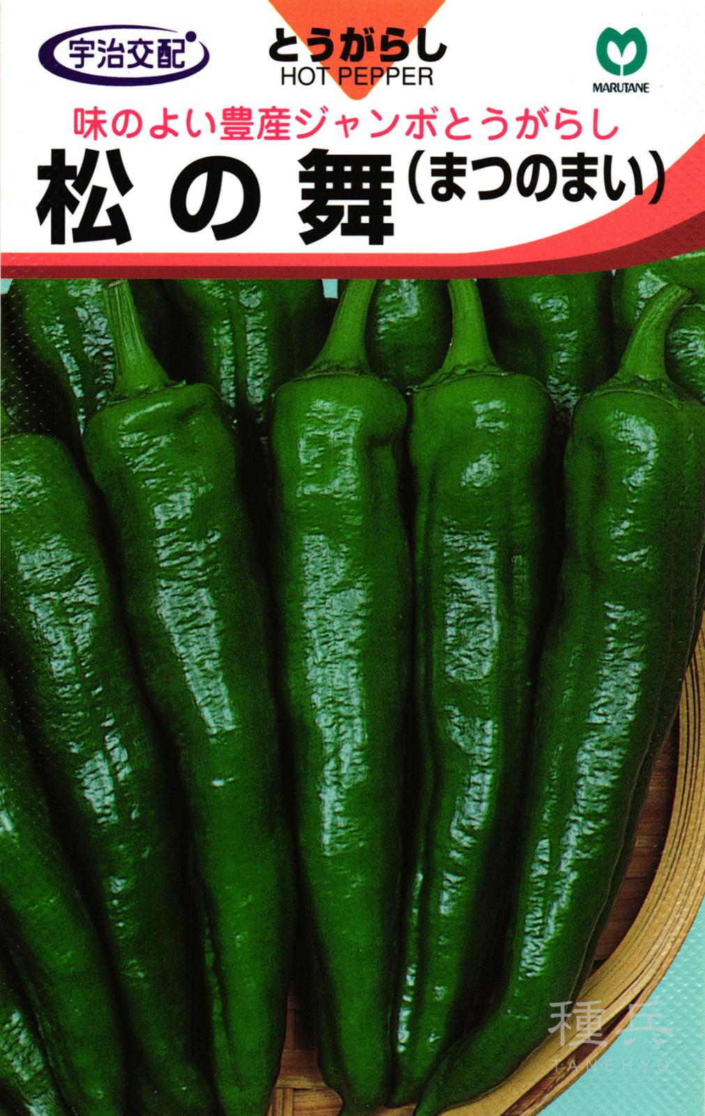 ジャンボトウガラシ 種 『松の舞とうがらし』  丸種