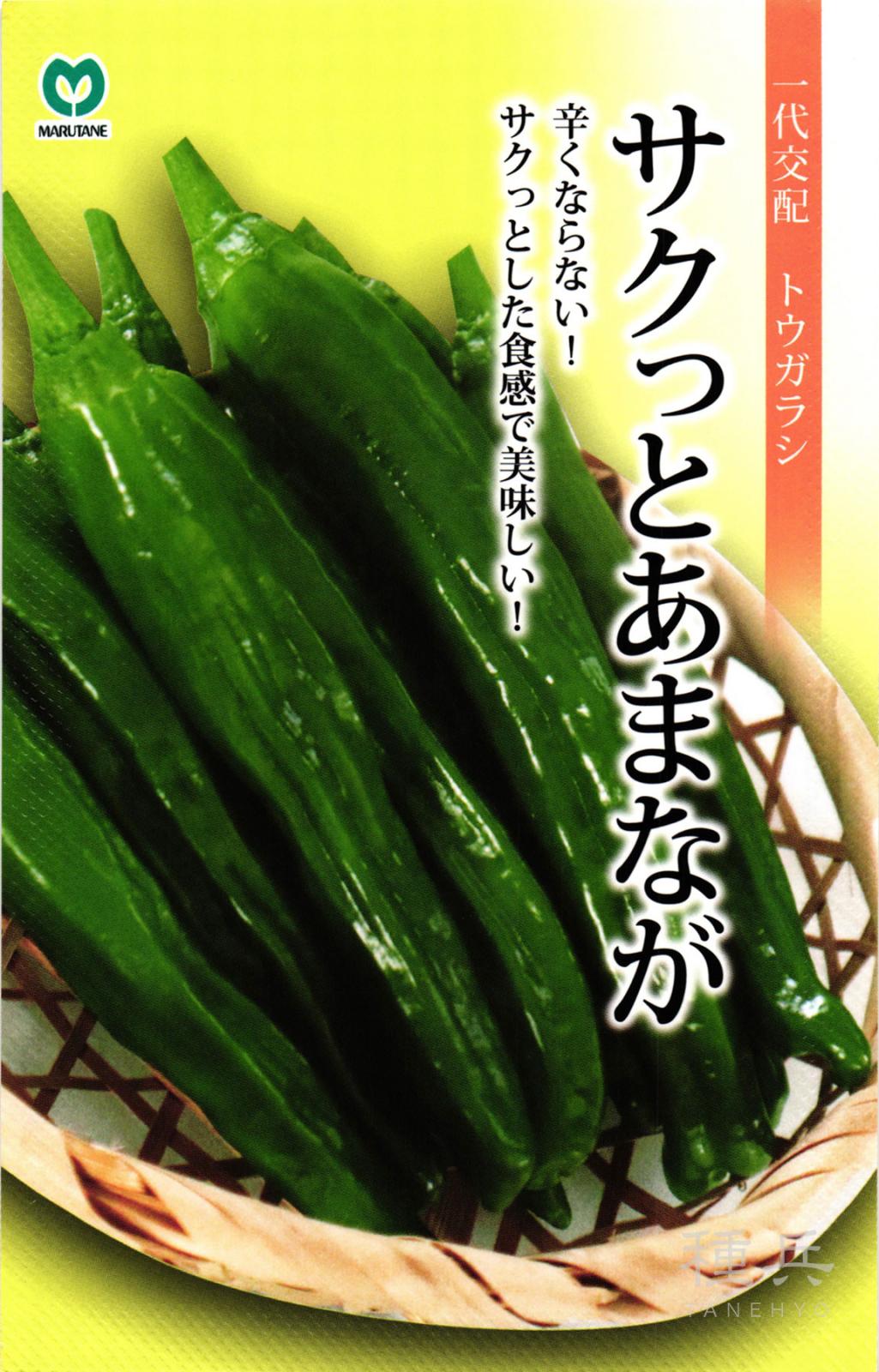 甘長トウガラシ 種 『サクっとあまなが』  丸種