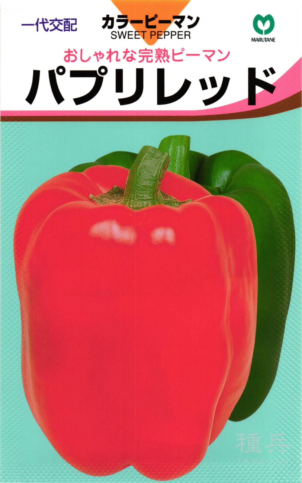 カラーピーマン 種 『パプリレッド』  丸種
