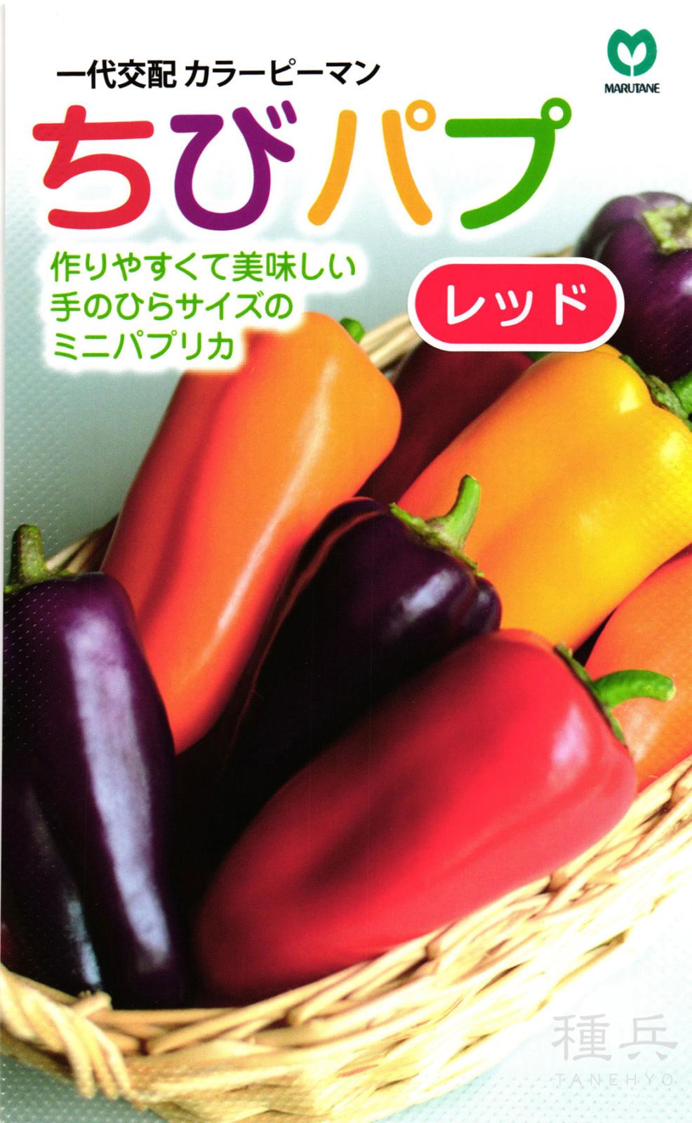 ミニパプリカ 種 『ちびパプレッド』  丸種