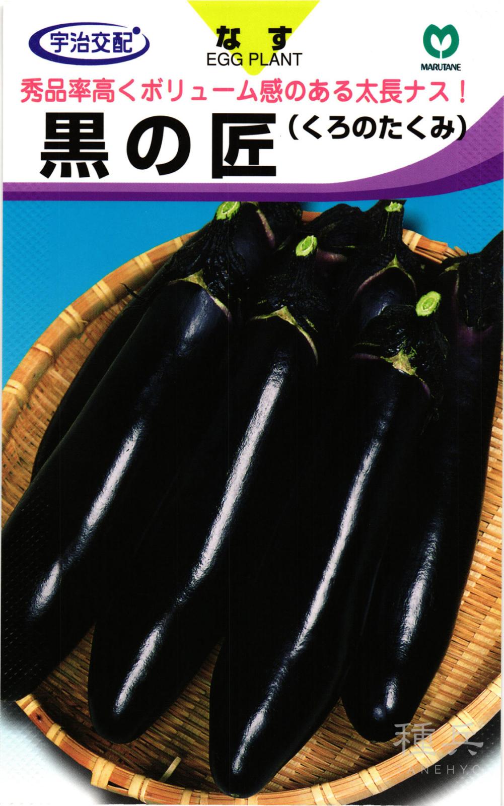 長ナス 種 『黒の匠』  丸種