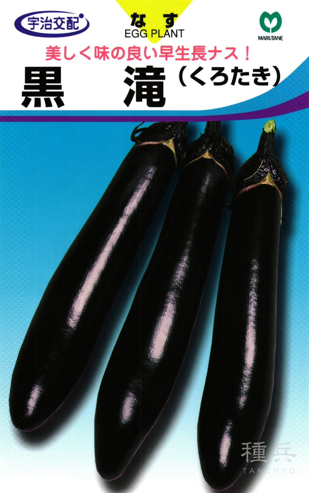 長ナス 種 『黒滝』  丸種