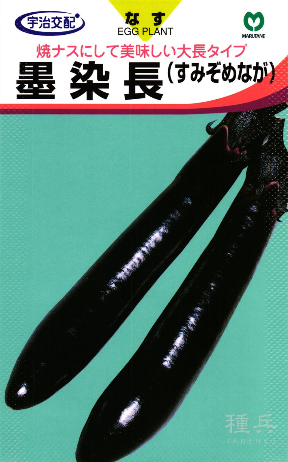 大長ナス 種 『墨染長』  丸種