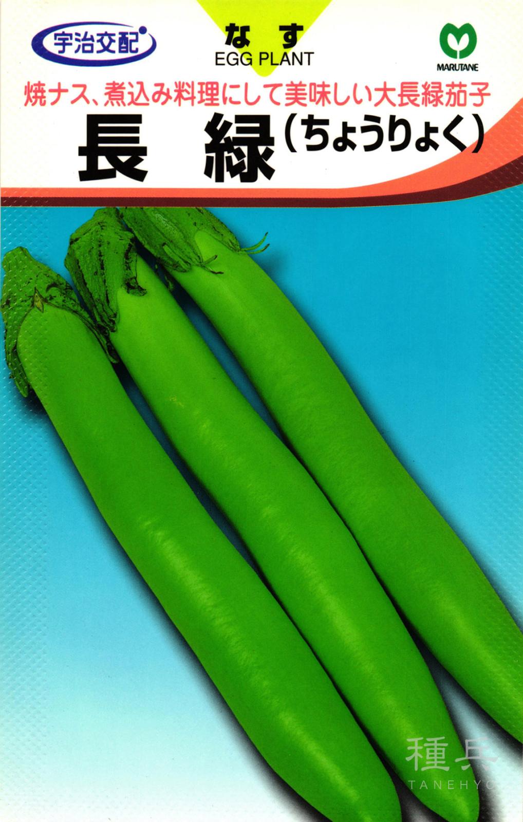 緑ナス 種 『長緑』  丸種