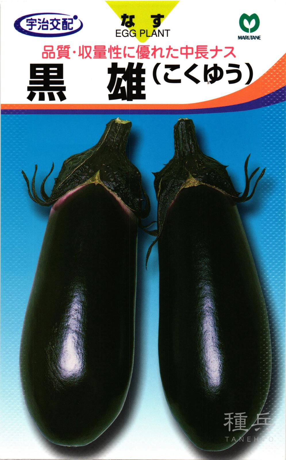 中長ナス 種 『黒雄』  丸種