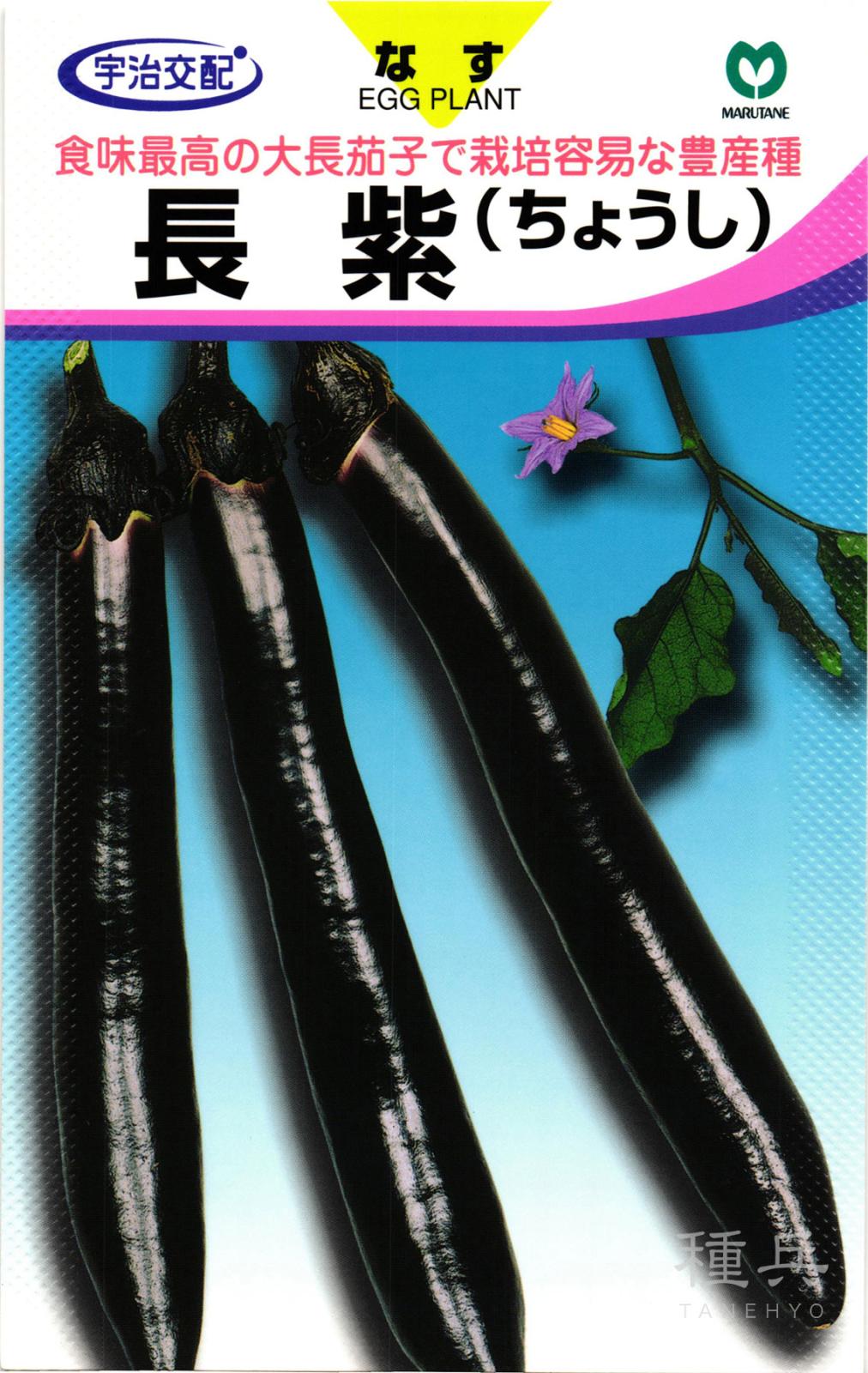 大長ナス 種 『長紫』  丸種