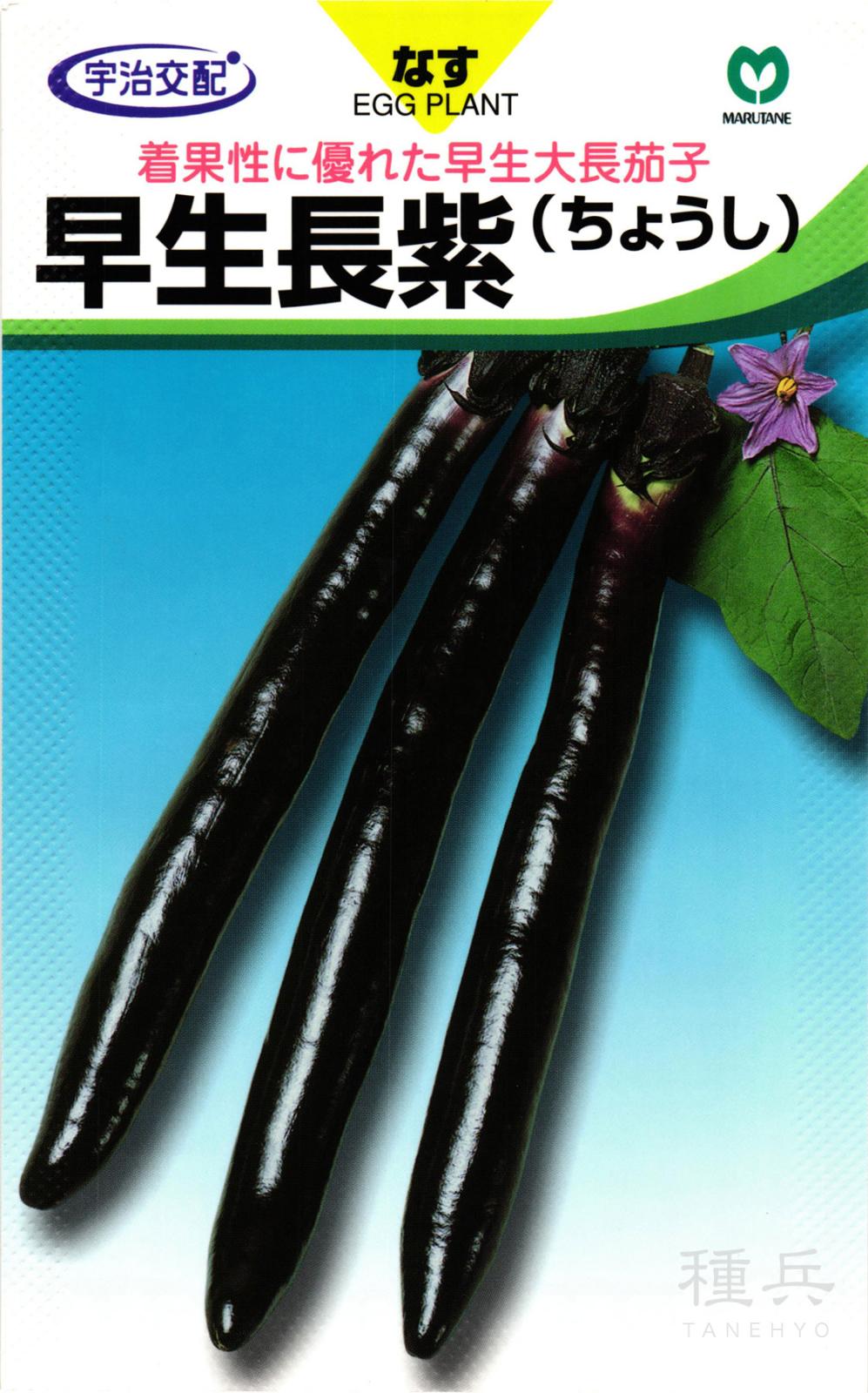 大長ナス 種 『早生長紫』  丸種