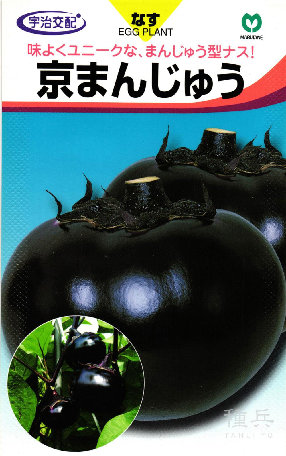 まんじゅうナス 種 『京まんじゅう』  丸種
