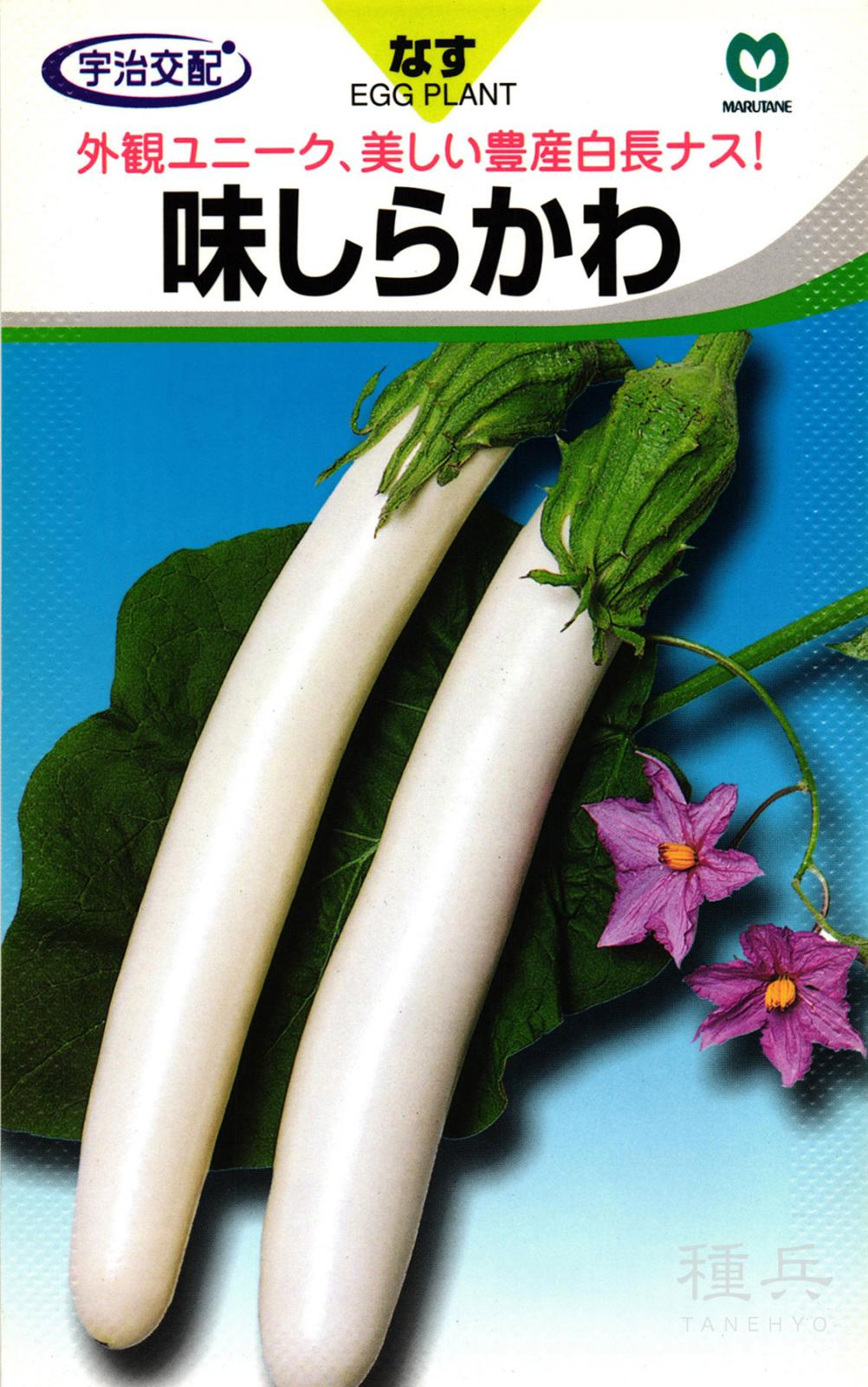 白長ナス 種 『味しらかわ』  丸種