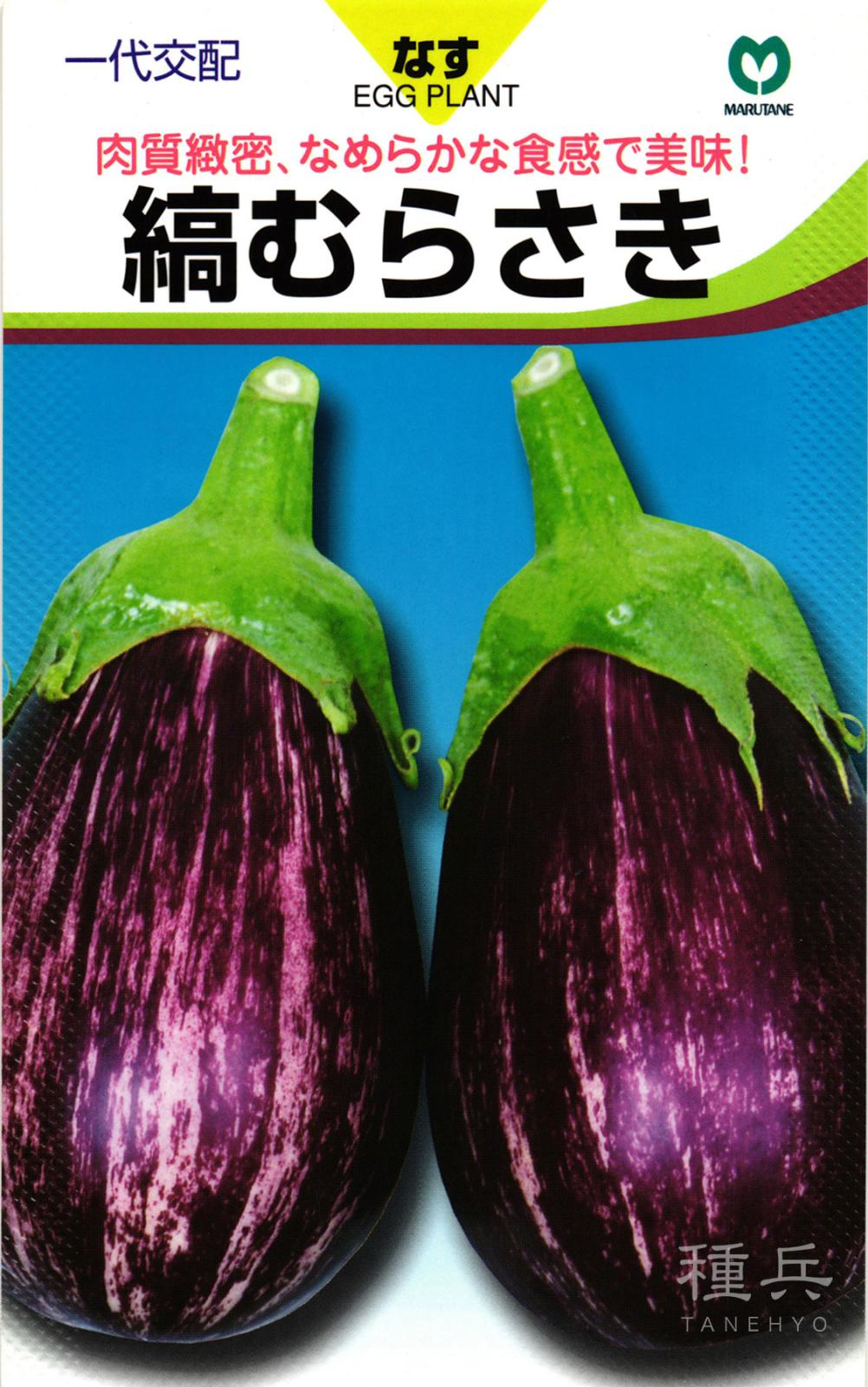 紫米ナス 種 『縞むらさき』  丸種