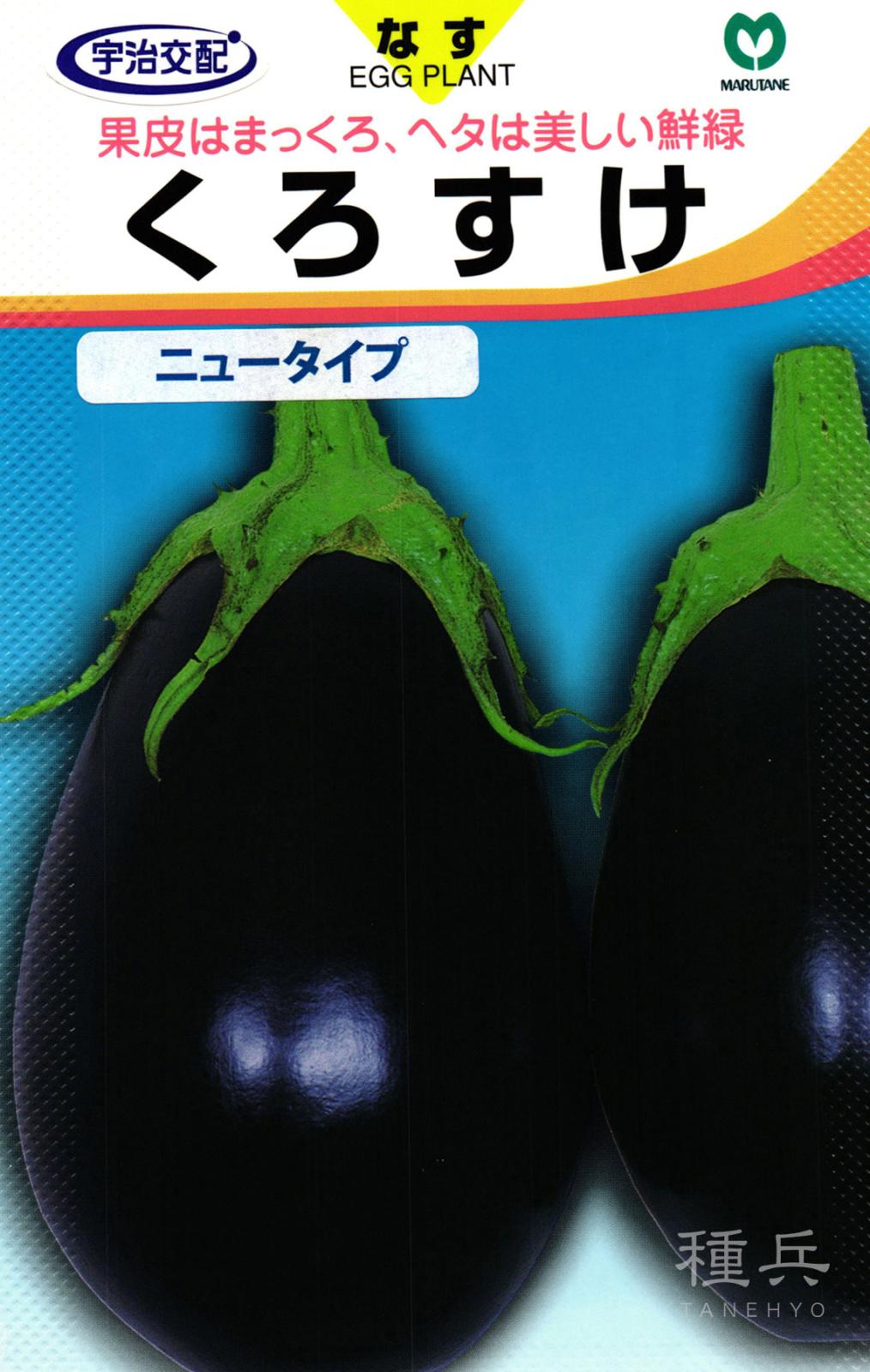 米ナス 種 『くろすけニュータイプ』  丸種