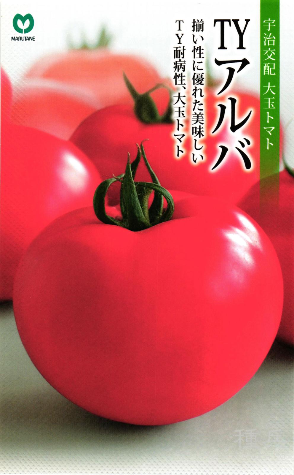 大玉トマト 種 『TYアルバ』  丸種