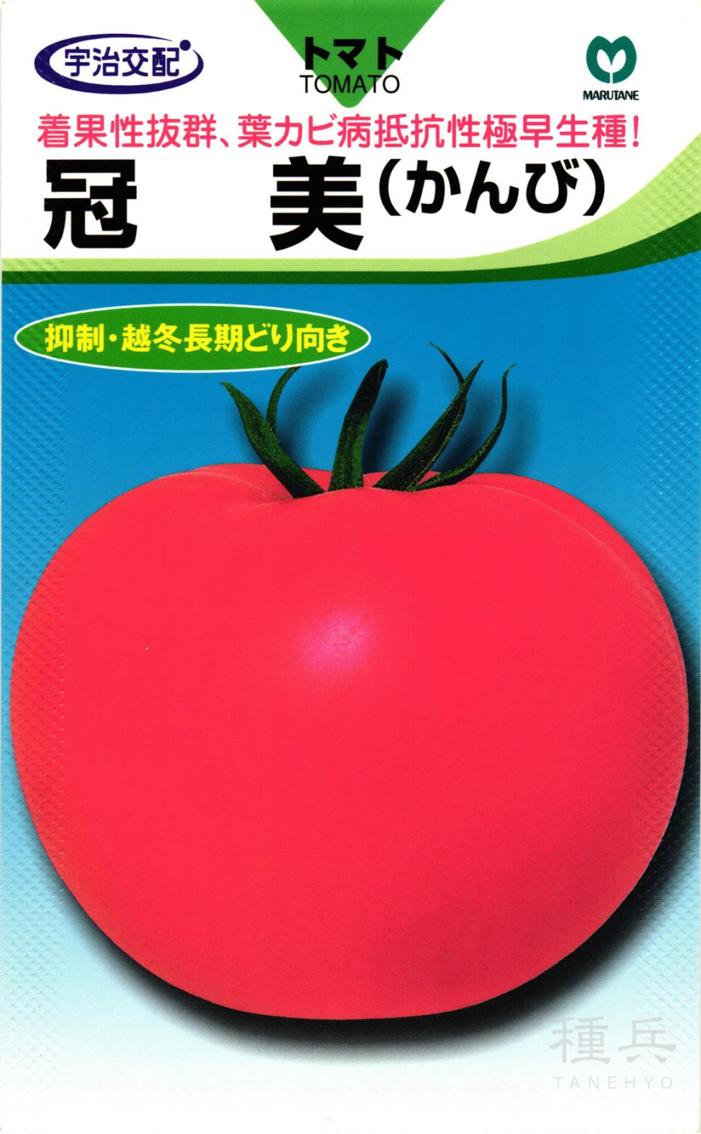 大玉トマト 種 『冠美』  丸種