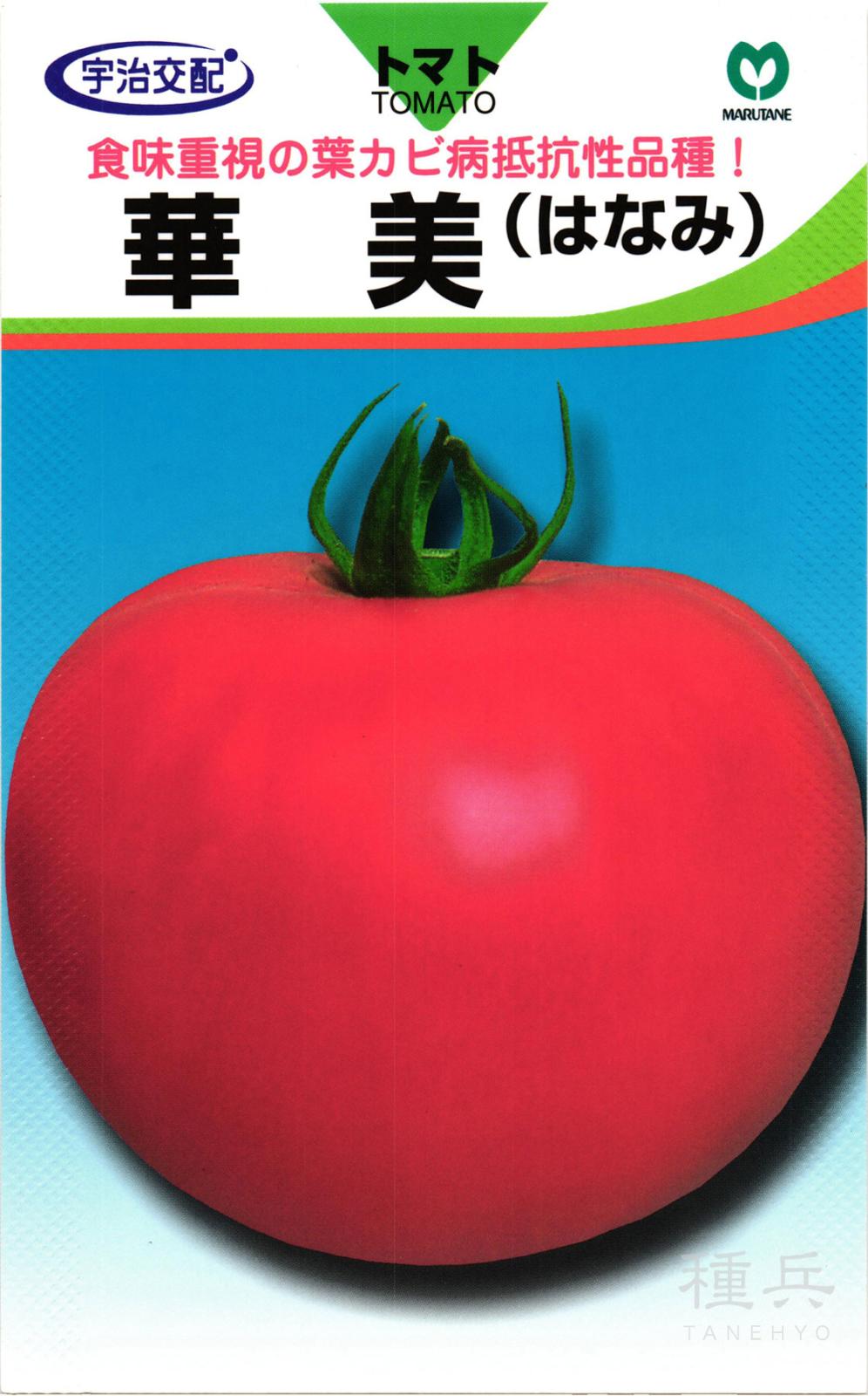 大玉トマト 種 『華美』  丸種