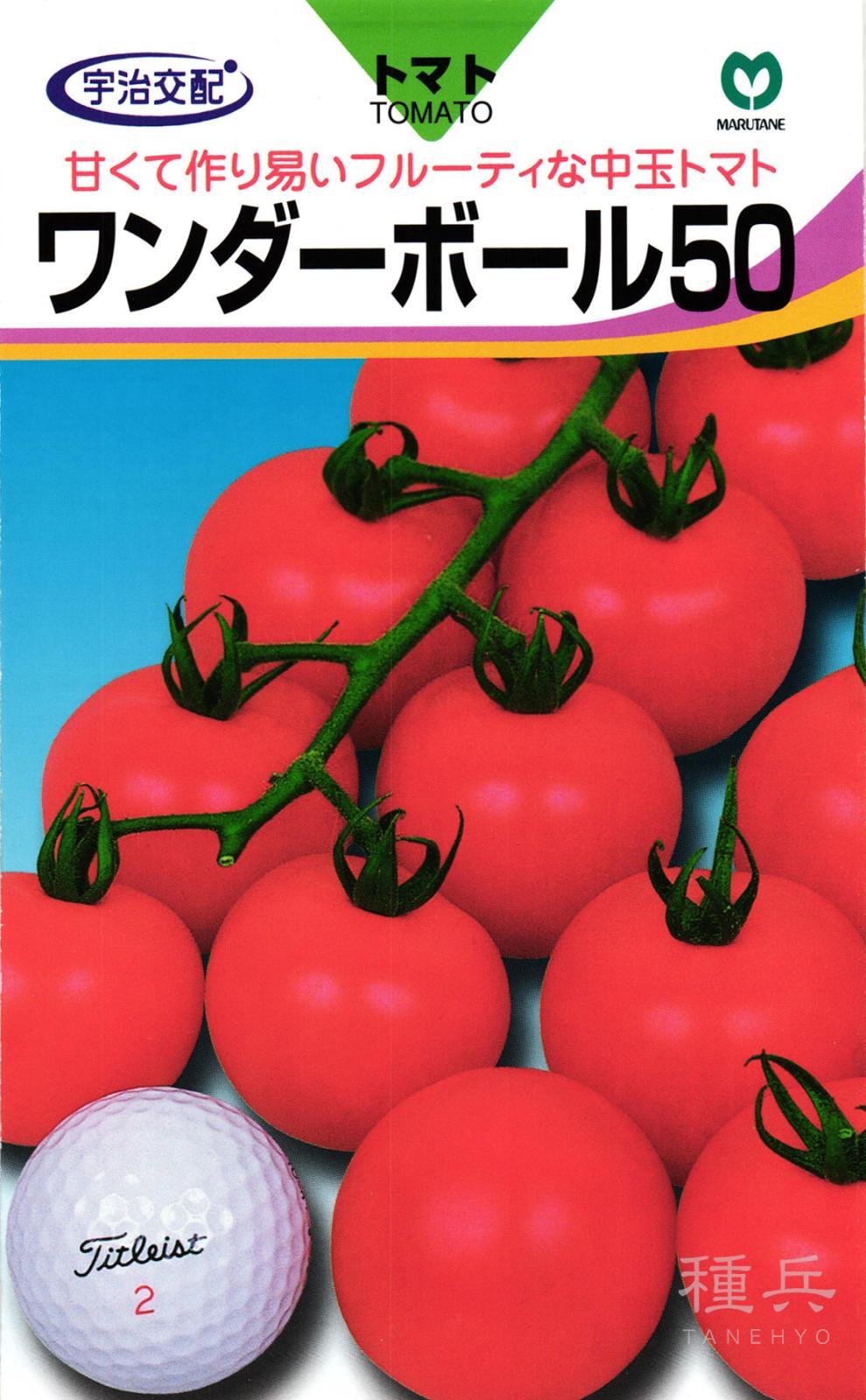 中玉トマト 種 『ワンダーボール５０』  丸種
