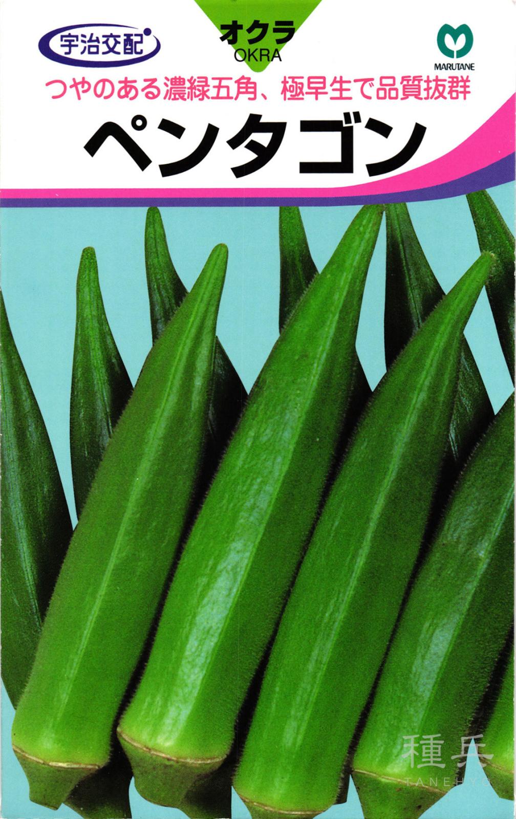 オクラ 種 『ペンタゴン』  丸種