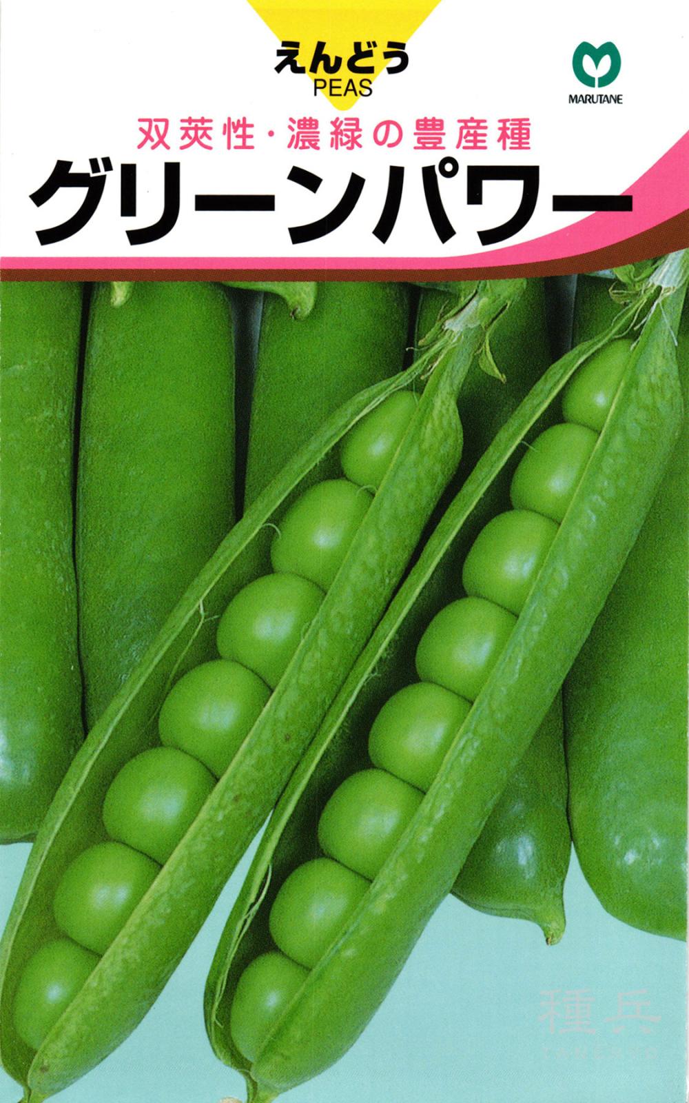 実取りエンドウ 種 『グリーンパワー』  丸種