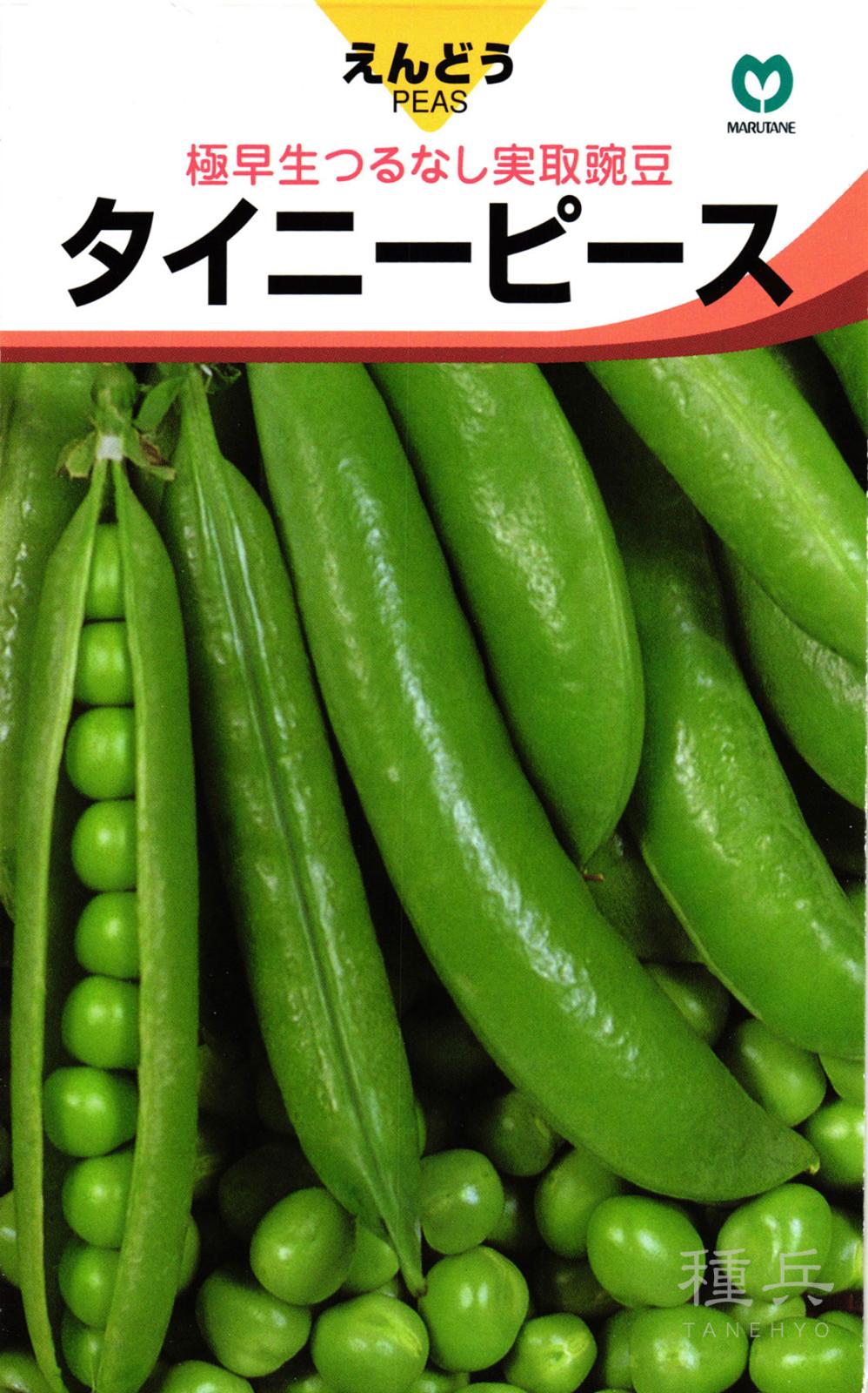 つるなし実取りエンドウ 種 『タイニーピース』  丸種