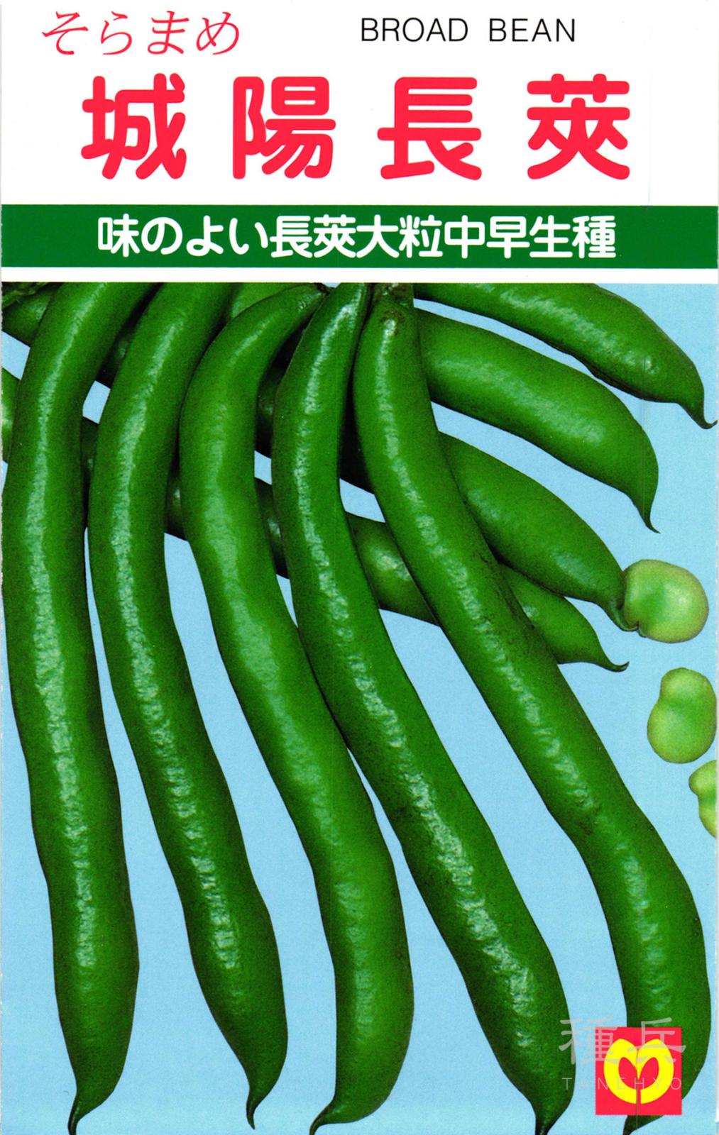 ソラマメ 種 『城陽長莢』  丸種