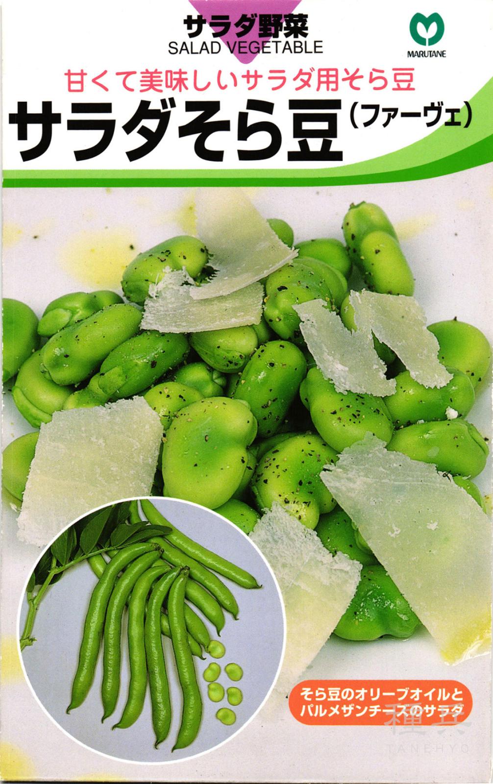 ソラマメ 種 『サラダそら豆』  丸種