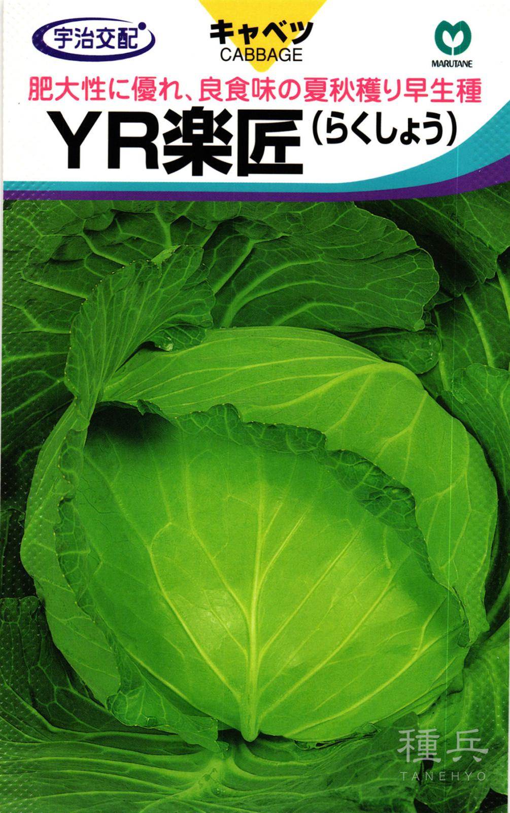 夏秋どりキャベツ 種 『YR楽匠』  丸種