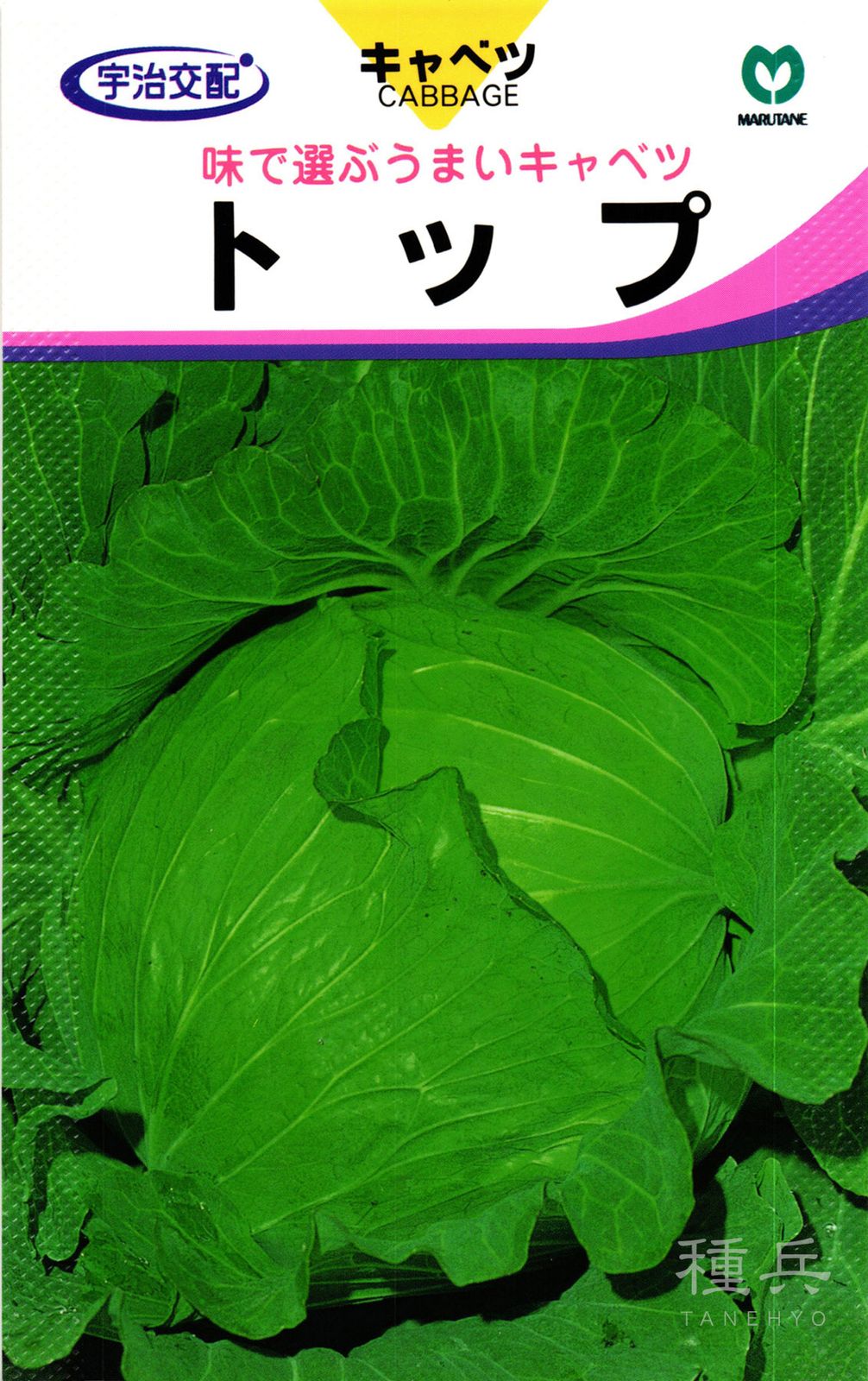 夏秋どりキャベツ 種 『トップ』 丸種 | たね,葉菜の種,キャベツ