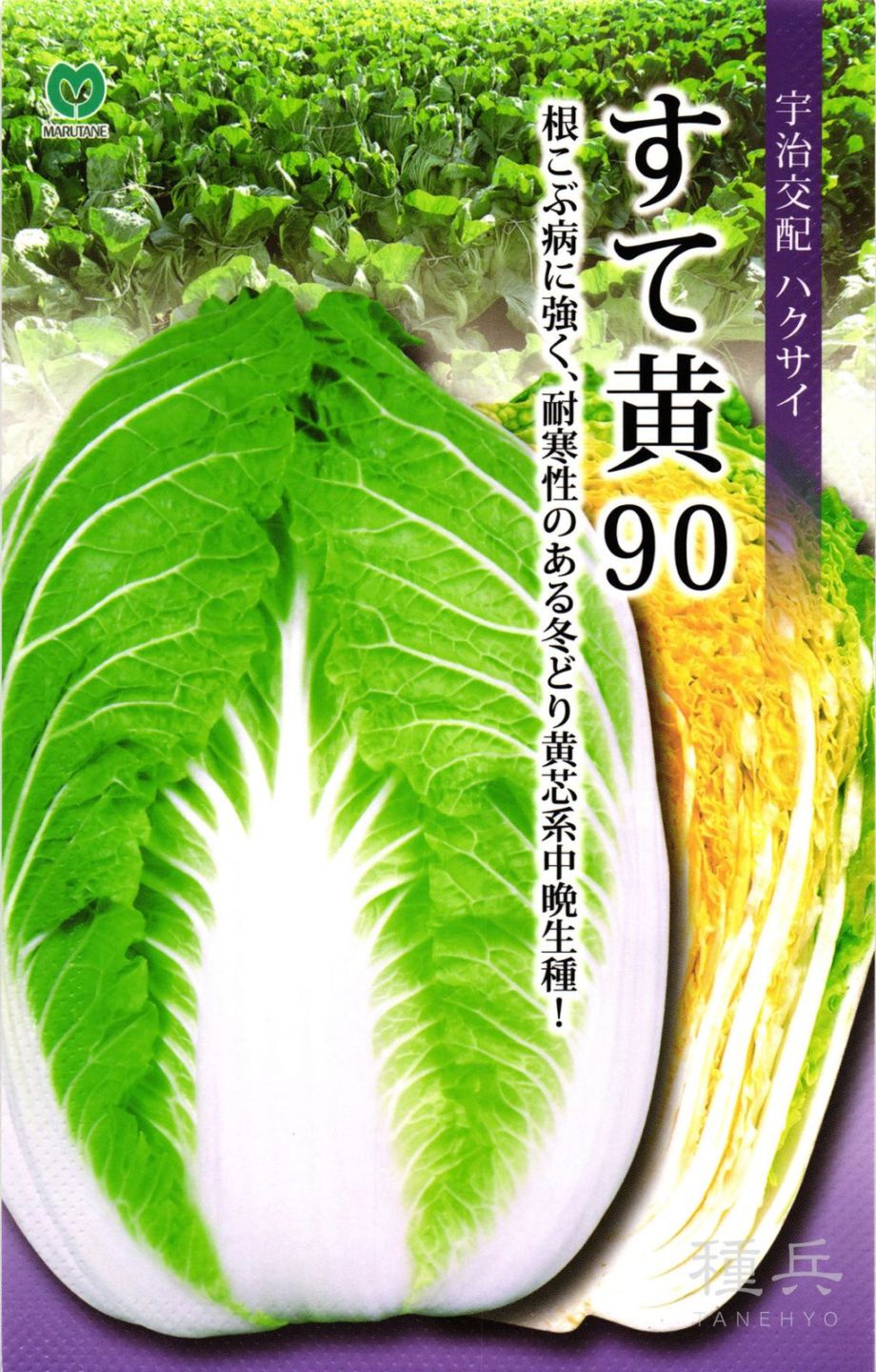 黄芯系中生種ハクサイ 種 『すて黄90』  丸種