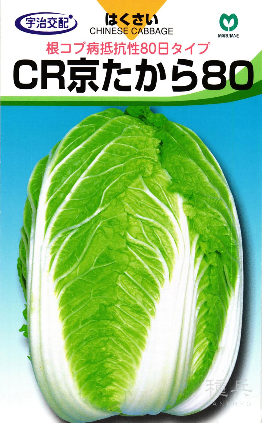 ハクサイ 種 『CR京たから80』  丸種