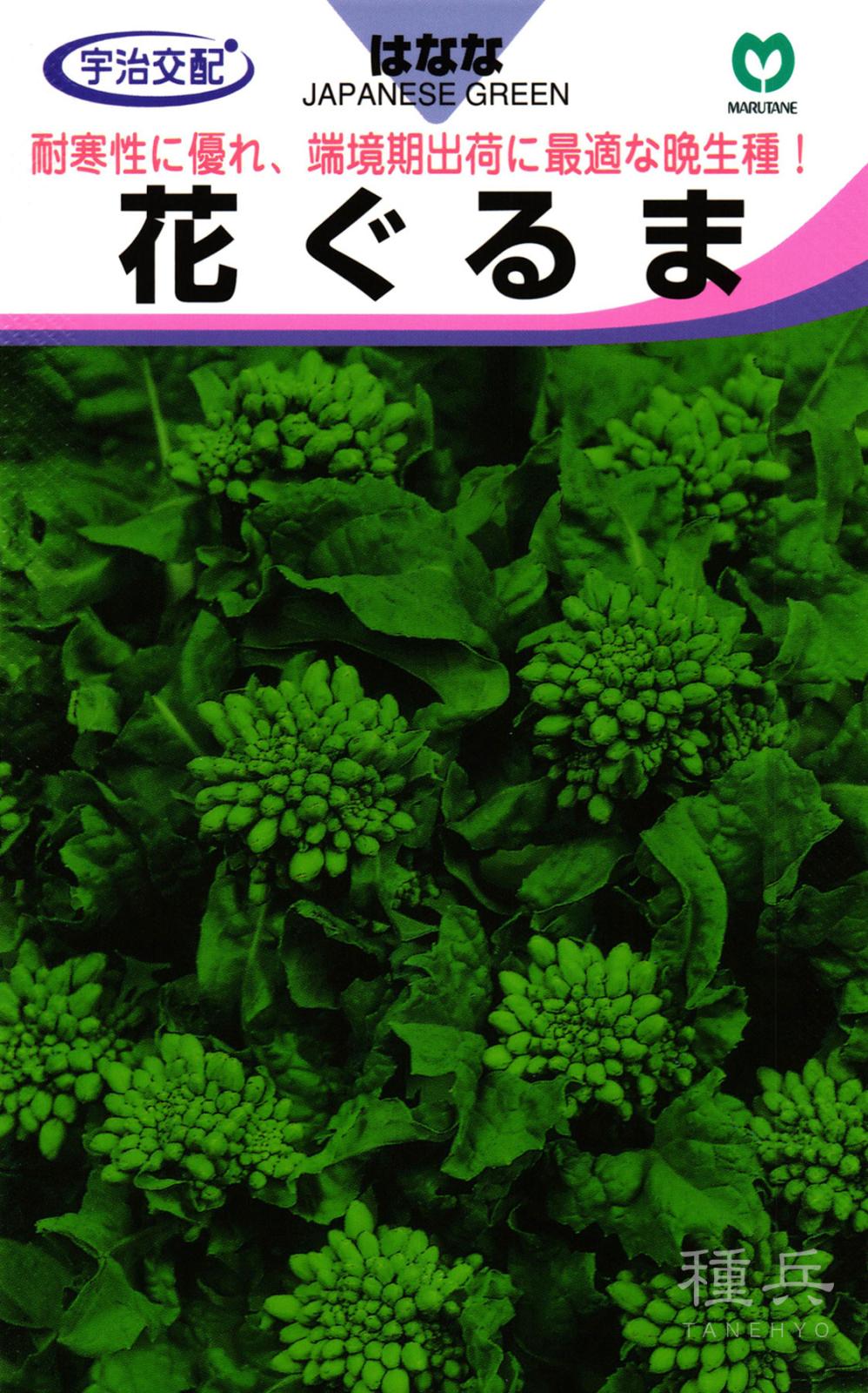 晩生ナバナ 種 『花ぐるま』  丸種