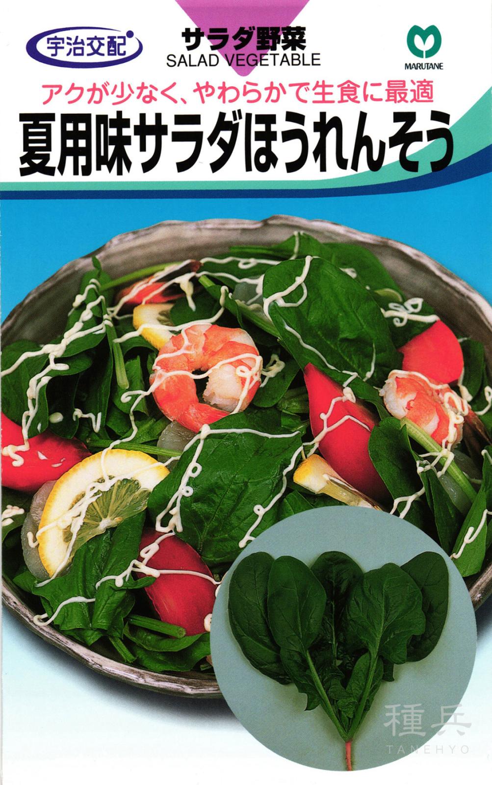 サラダホウレンソウ 種 『夏用味サラダほうれんそう』  丸種