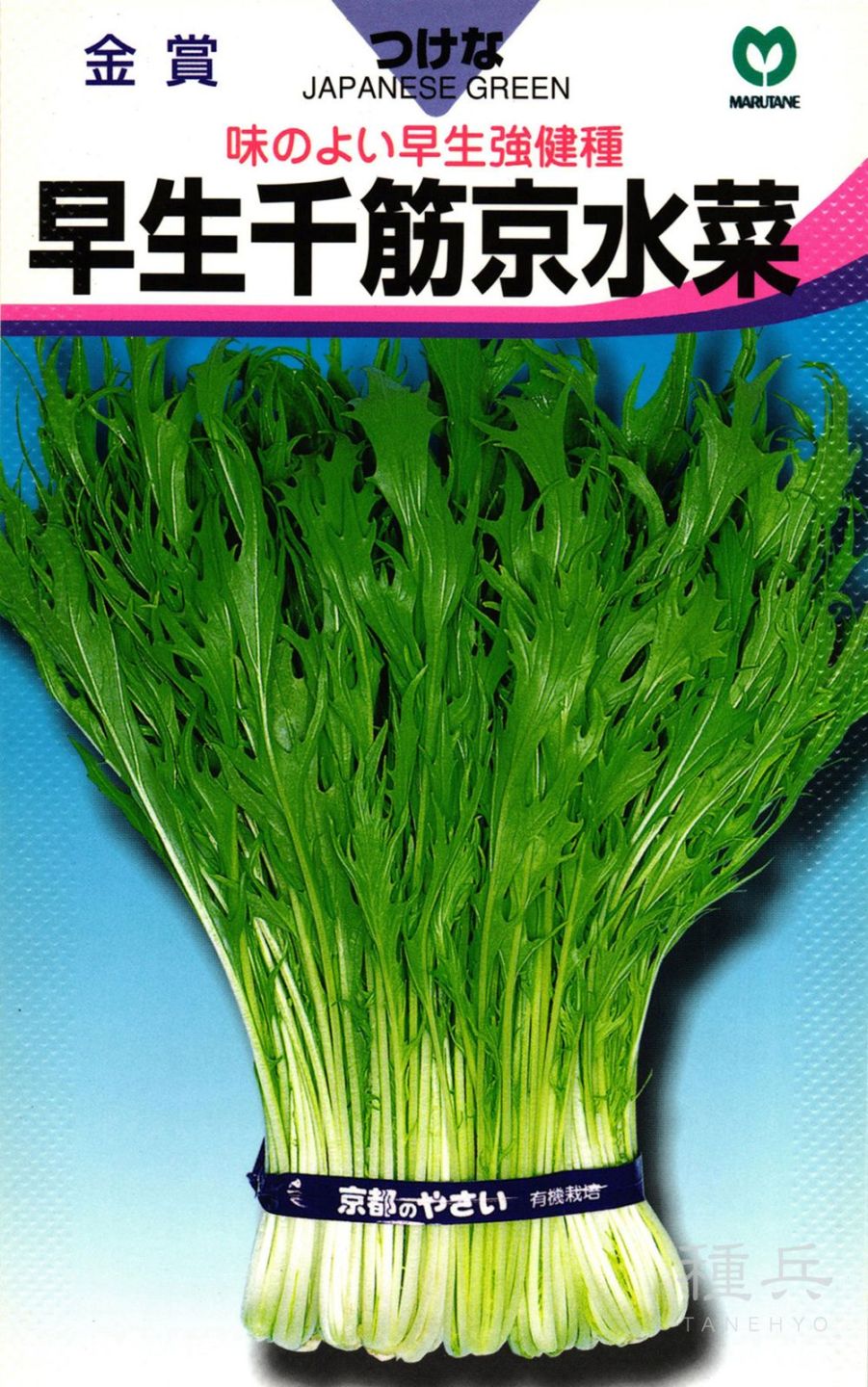 ミズナ 種 『早生千筋京水菜』  丸種