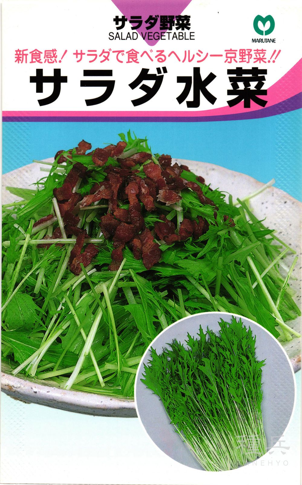 ミズナ 種 『サラダ水菜』  丸種