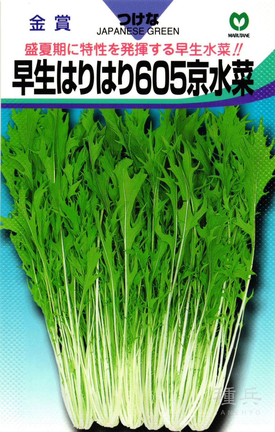 ミズナ 種 『早生はりはり605京水菜』  丸種