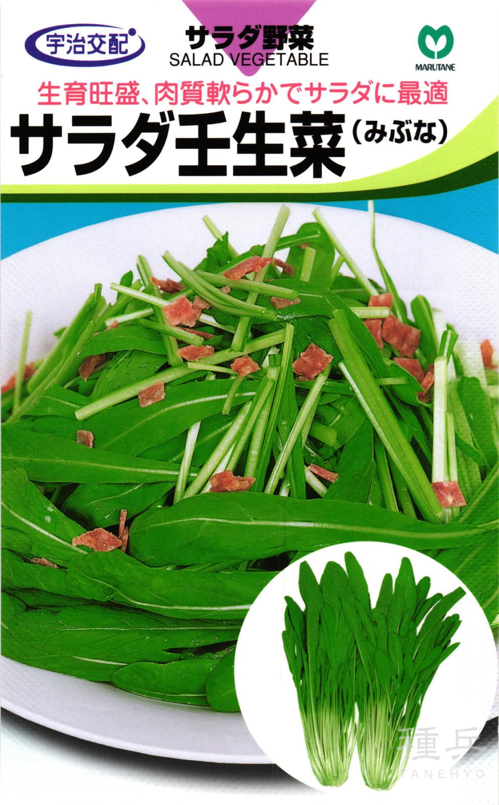 ミブナ 種 『サラダ壬生菜』  丸種