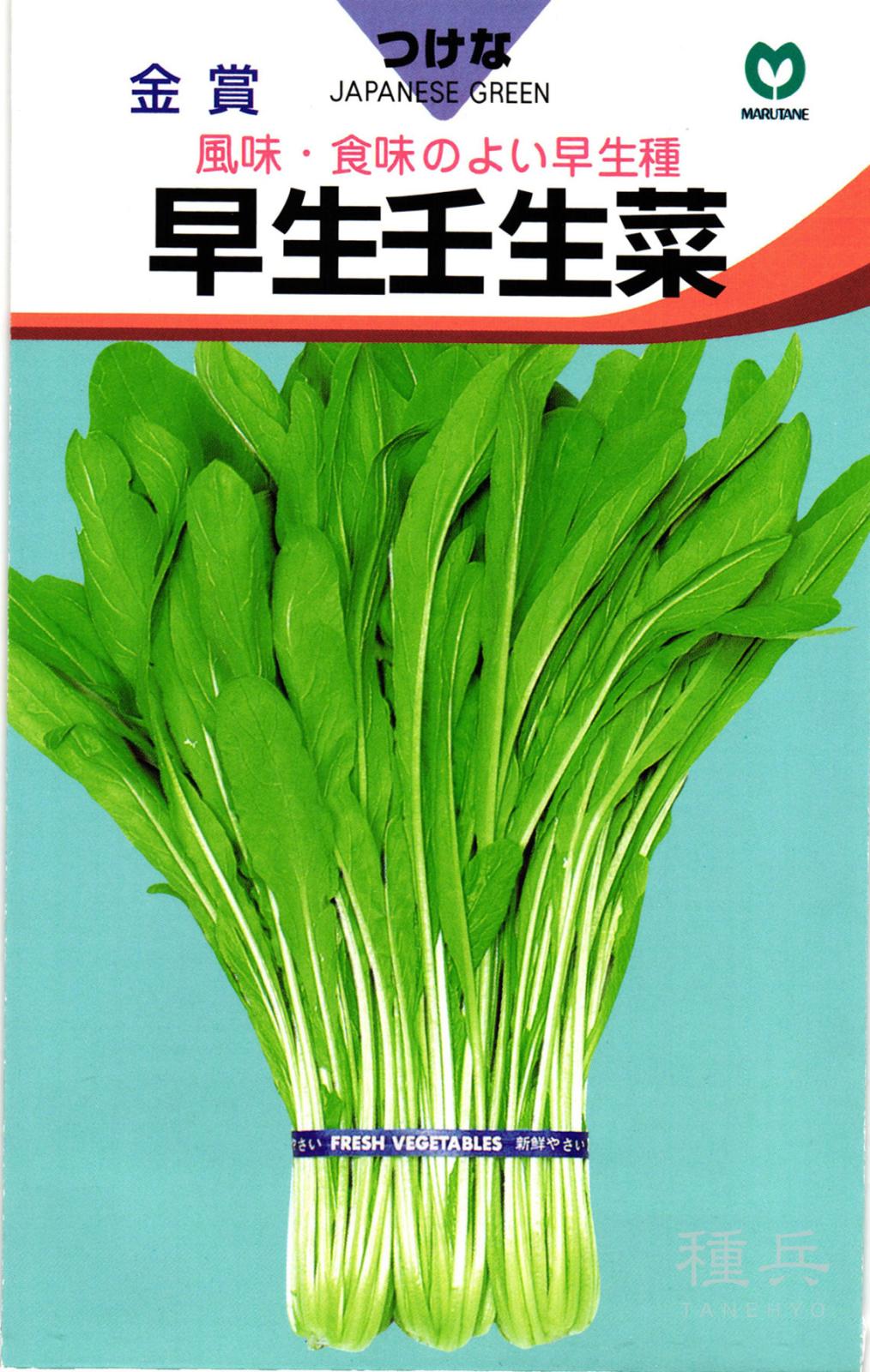 ミブナ 種 『早生壬生菜』  丸種